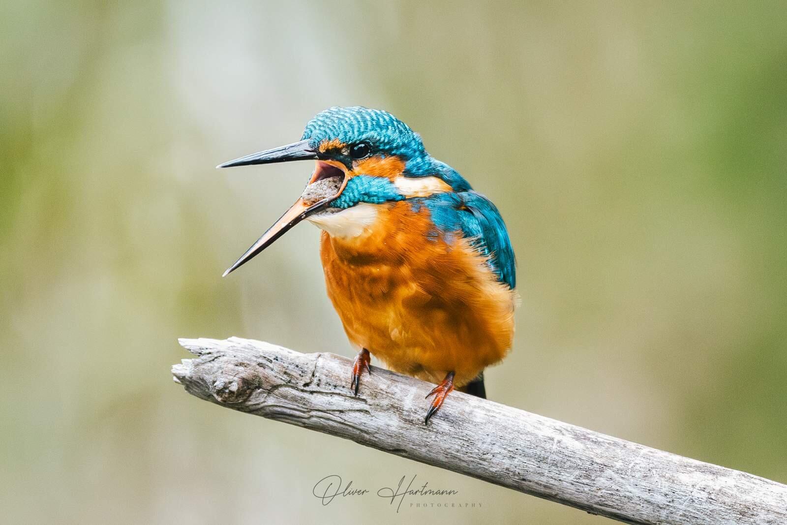 Bild ohne Beschreibung Bild ohne Beschreibung