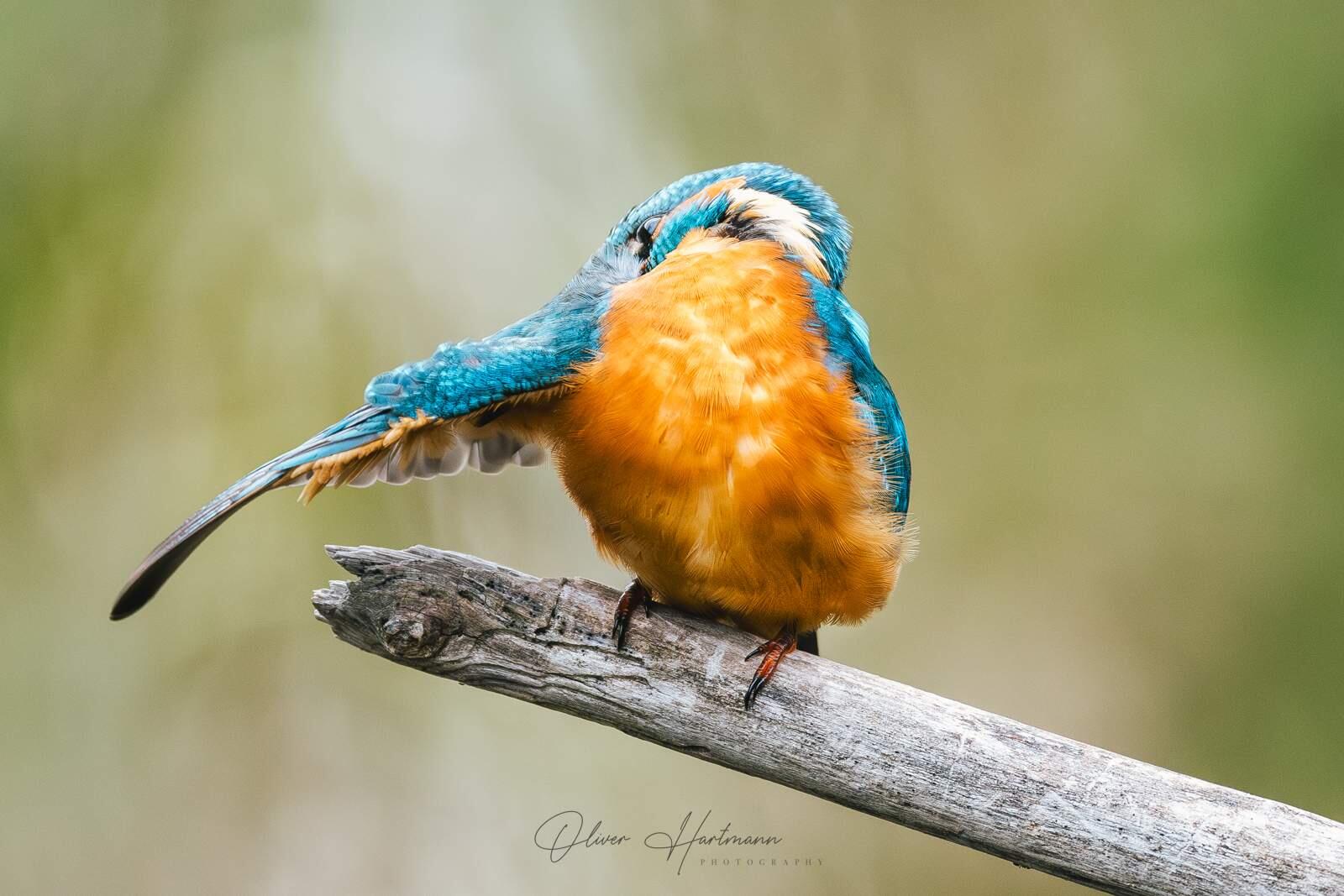 Bild ohne Beschreibung Bild ohne Beschreibung