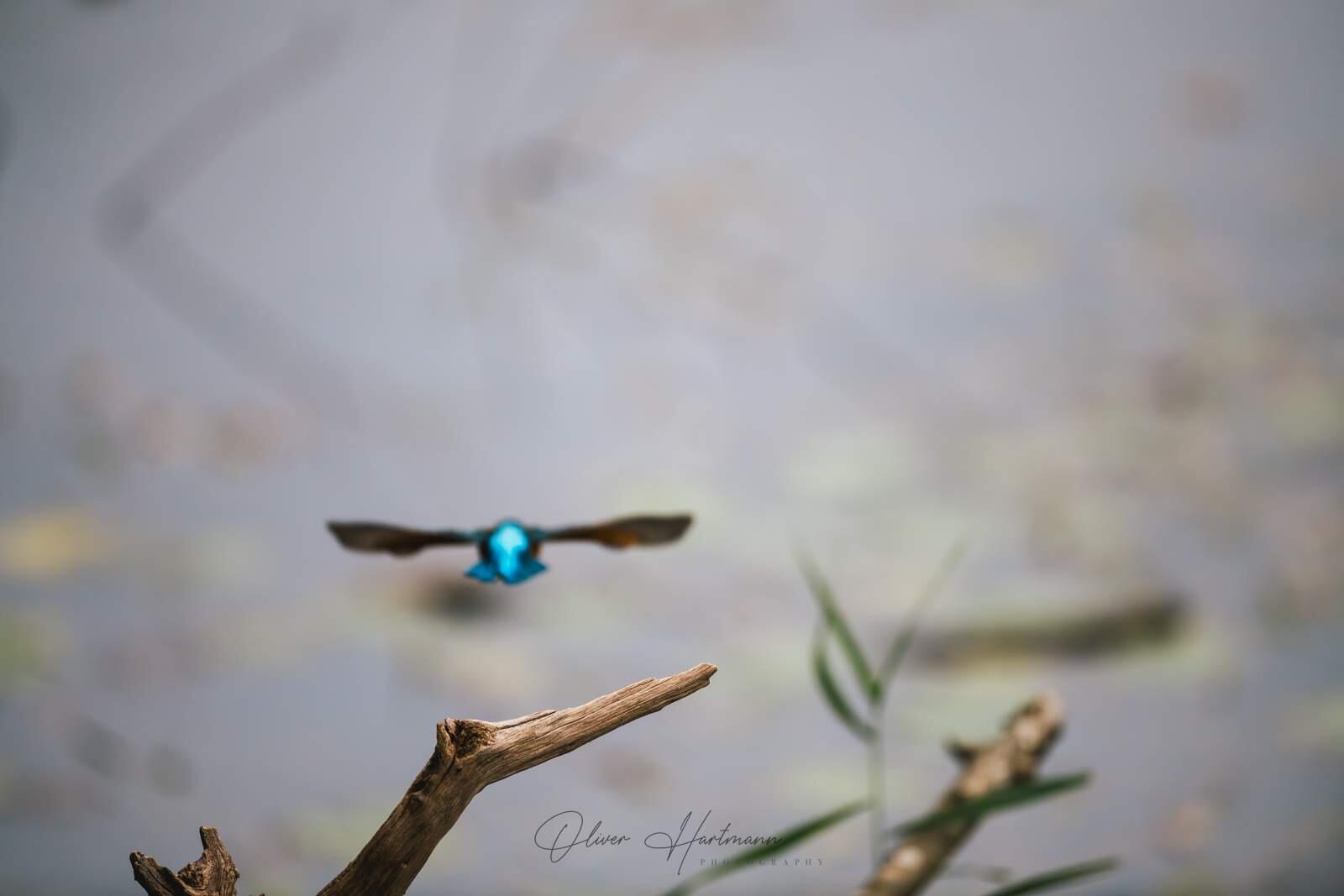 Bild ohne Beschreibung Bild ohne Beschreibung