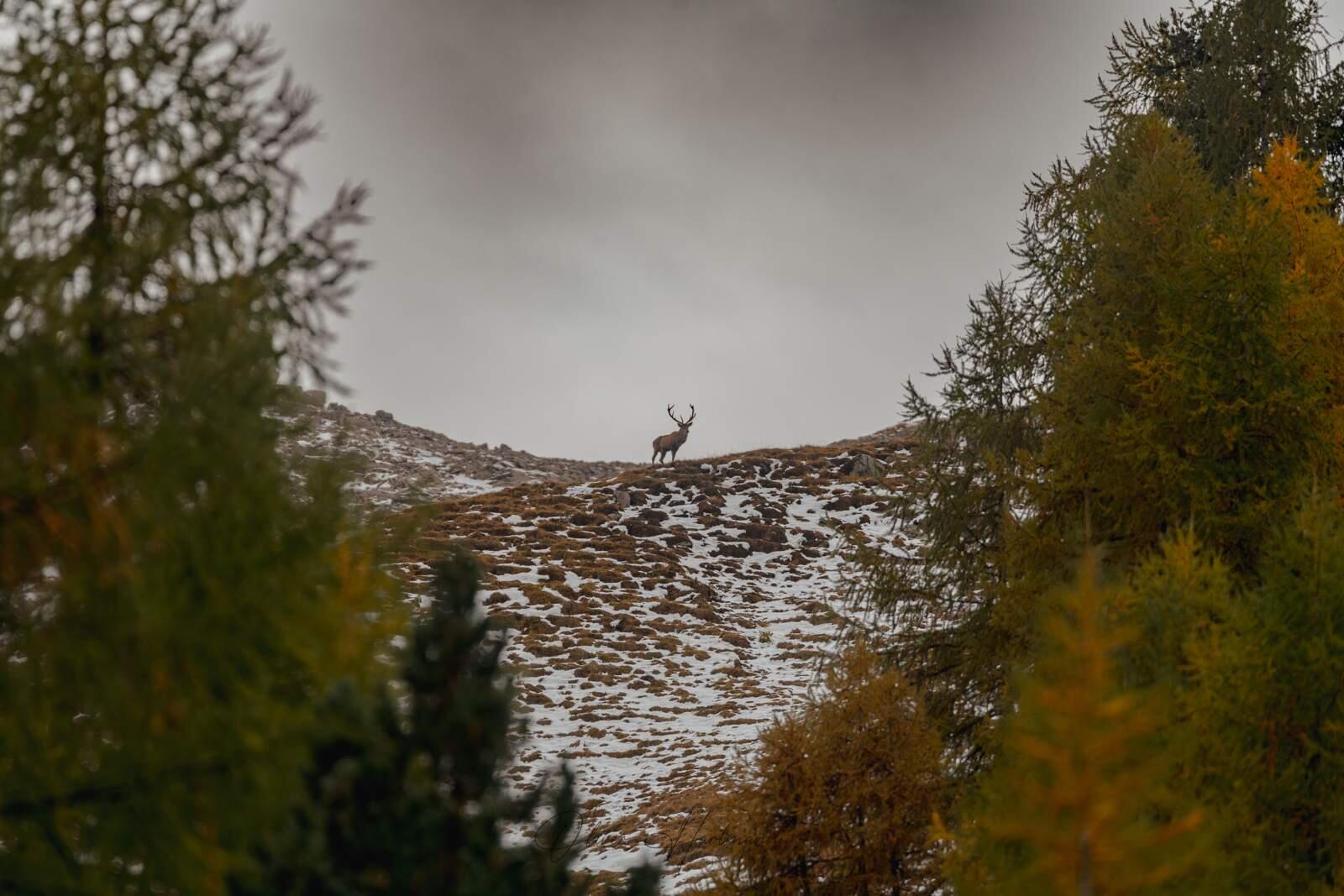 Bild ohne Beschreibung Bild ohne Beschreibung