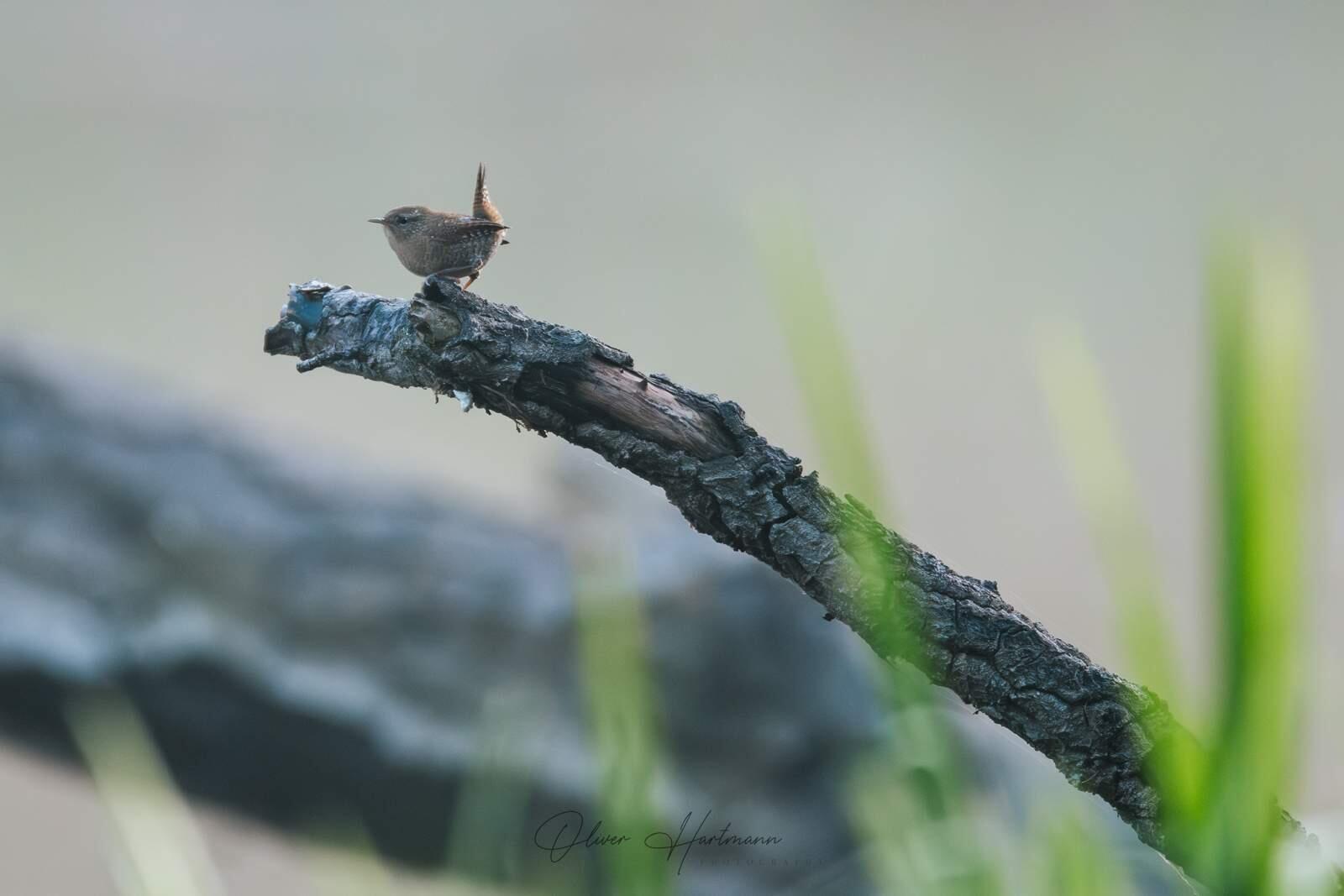 Bild ohne Beschreibung Bild ohne Beschreibung