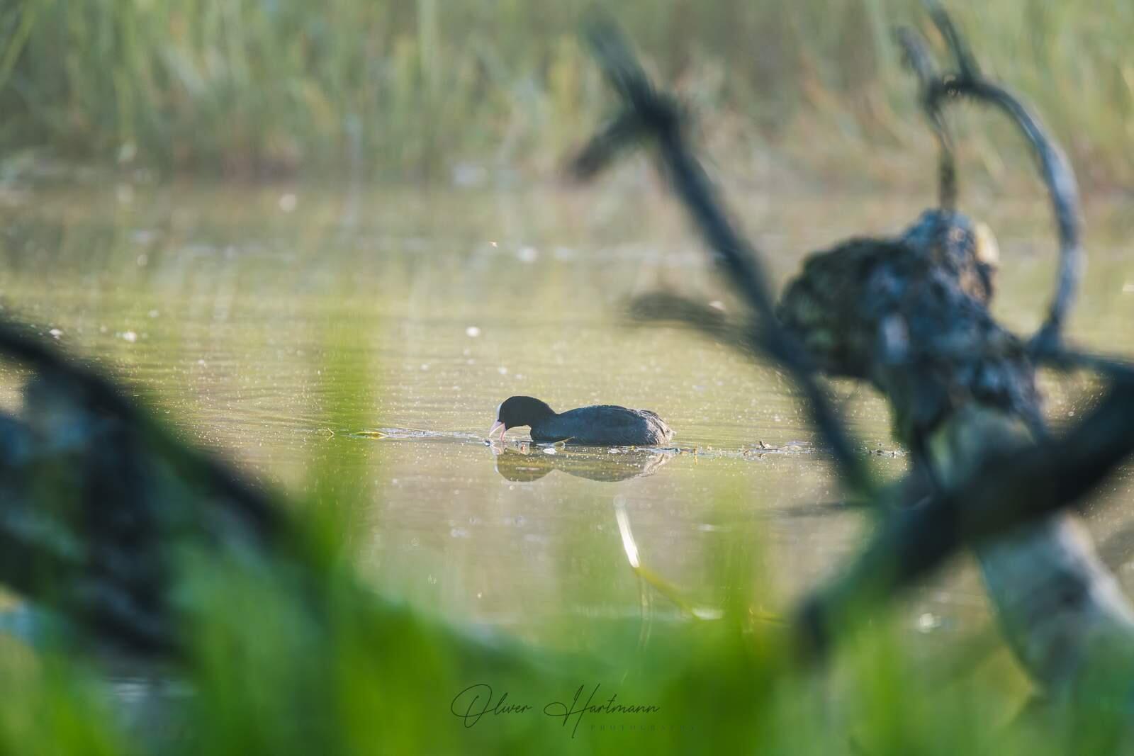 Bild ohne Beschreibung Bild ohne Beschreibung
