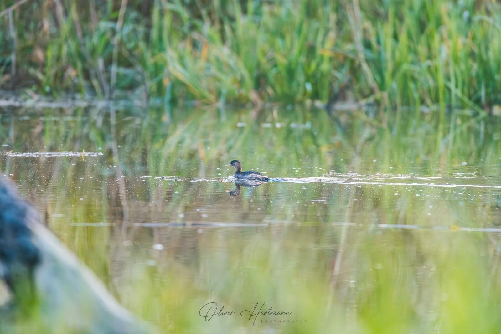 Bild ohne Beschreibung Bild ohne Beschreibung
