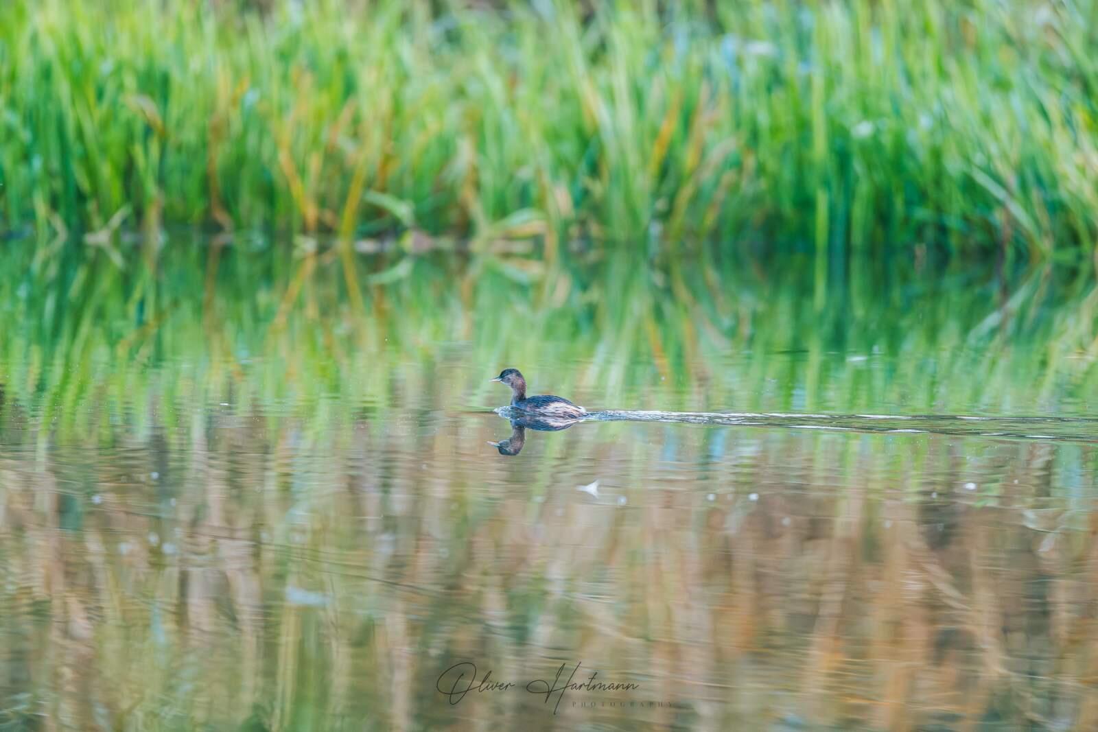 Bild ohne Beschreibung Bild ohne Beschreibung