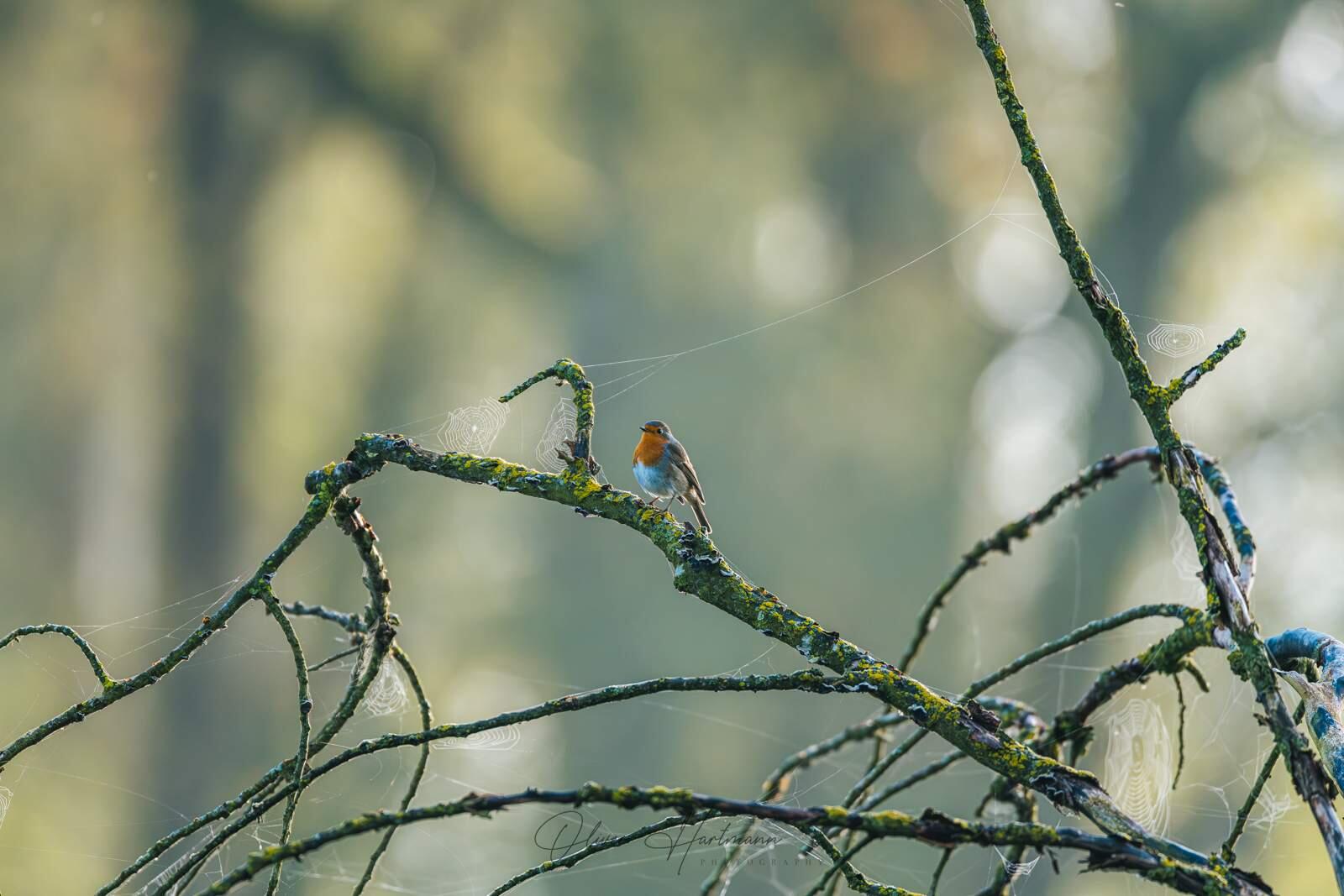 Bild ohne Beschreibung Bild ohne Beschreibung