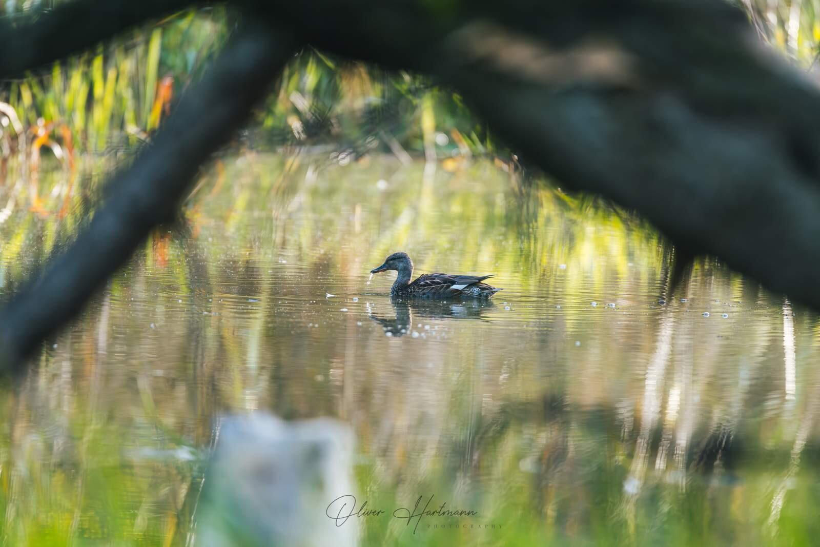 Bild ohne Beschreibung Bild ohne Beschreibung