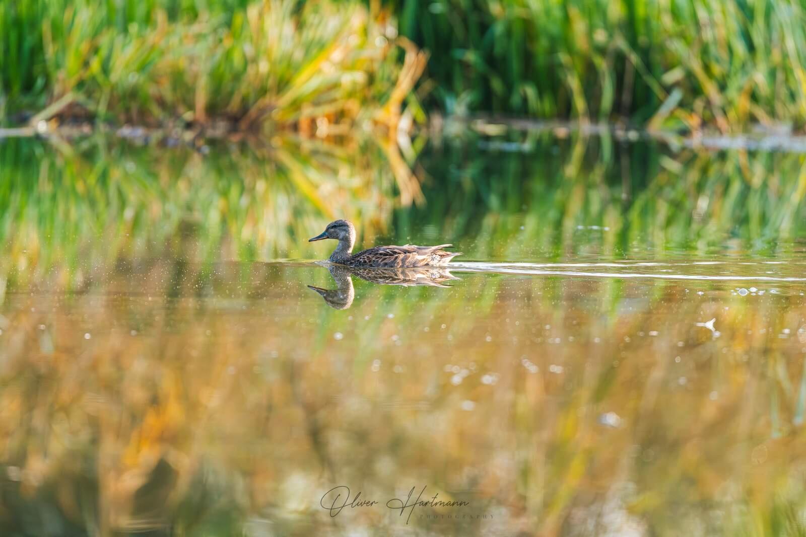 Bild ohne Beschreibung Bild ohne Beschreibung