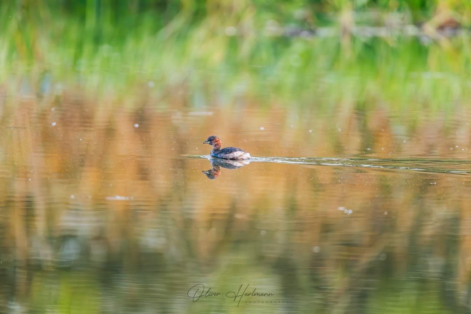 Bild ohne Beschreibung Bild ohne Beschreibung