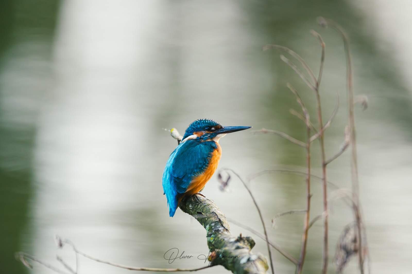 Bild ohne Beschreibung Bild ohne Beschreibung