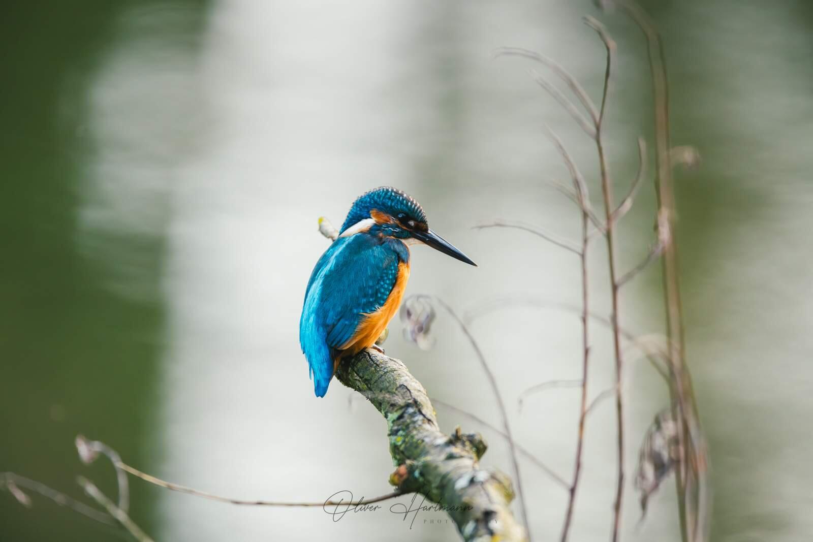 Bild ohne Beschreibung Bild ohne Beschreibung