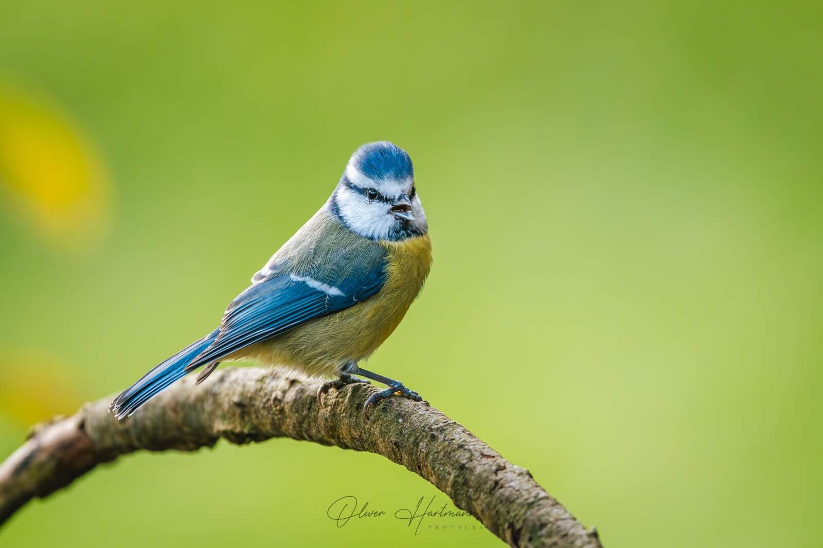 Bild ohne Beschreibung Bild ohne Beschreibung