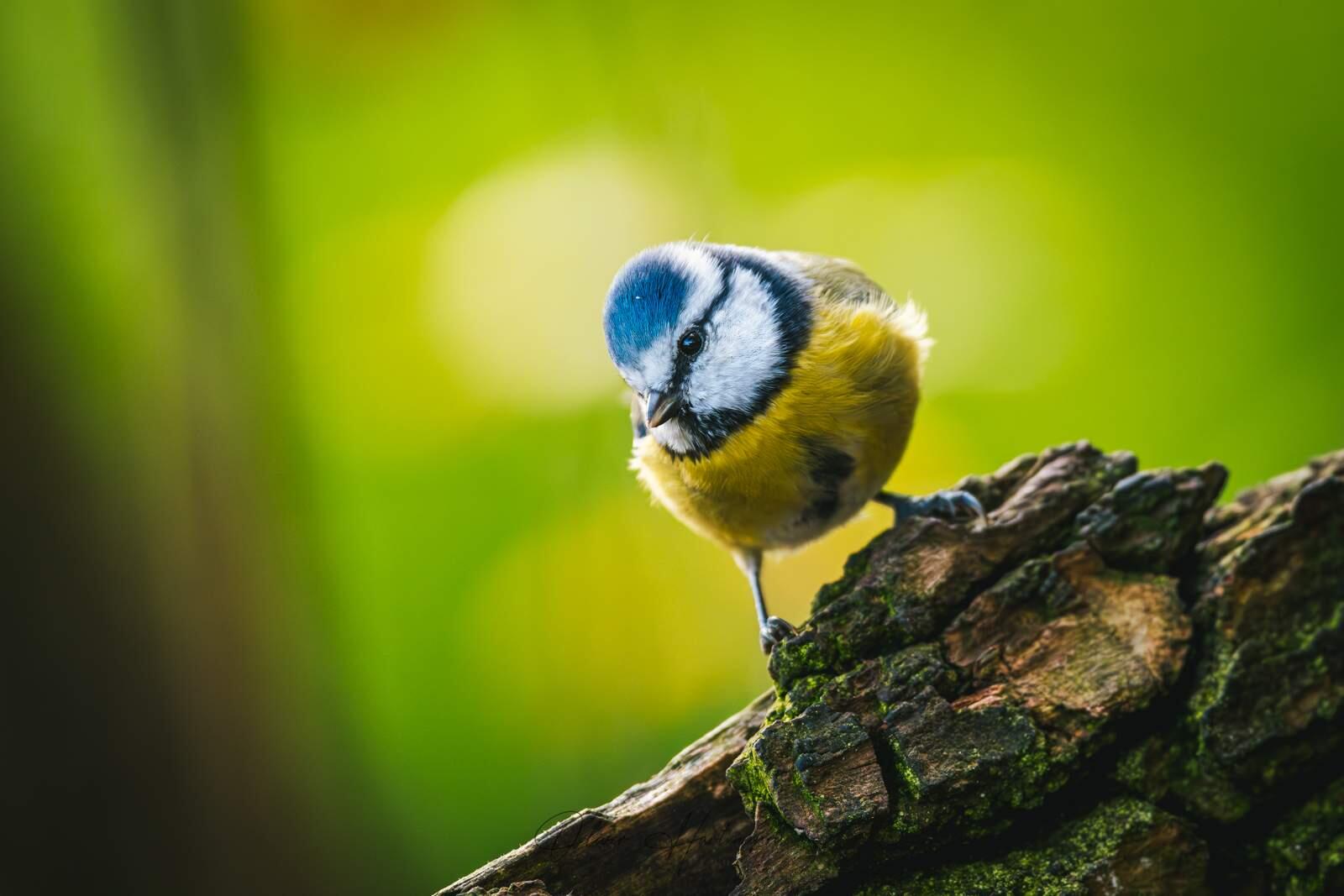 Bild ohne Beschreibung Bild ohne Beschreibung