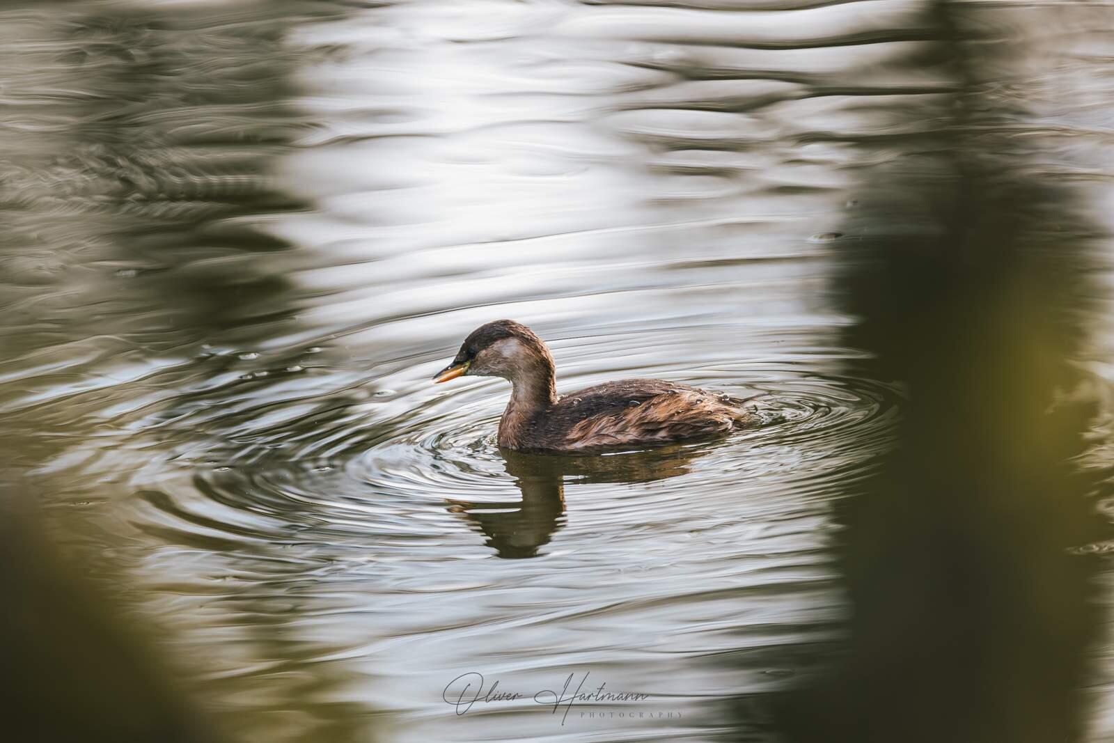 Bild ohne Beschreibung Bild ohne Beschreibung