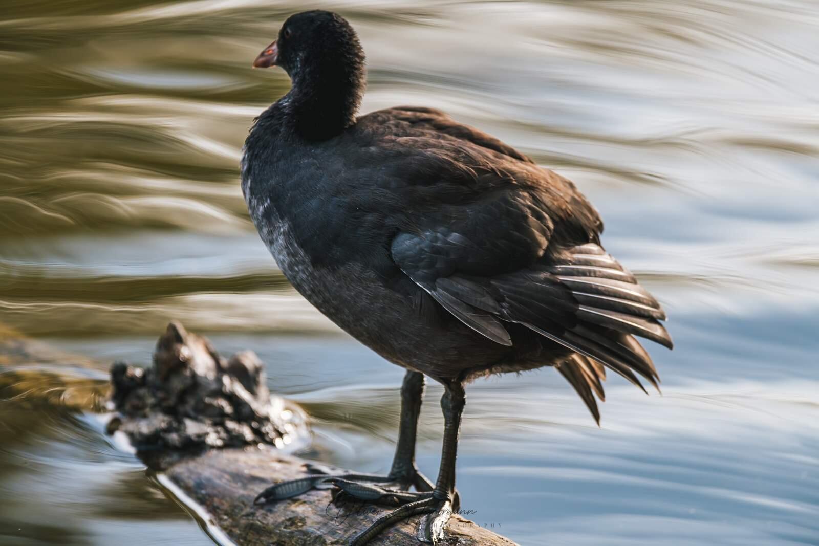 Bild ohne Beschreibung Bild ohne Beschreibung