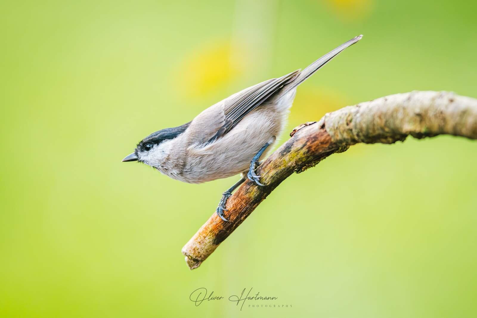 Bild ohne Beschreibung Bild ohne Beschreibung