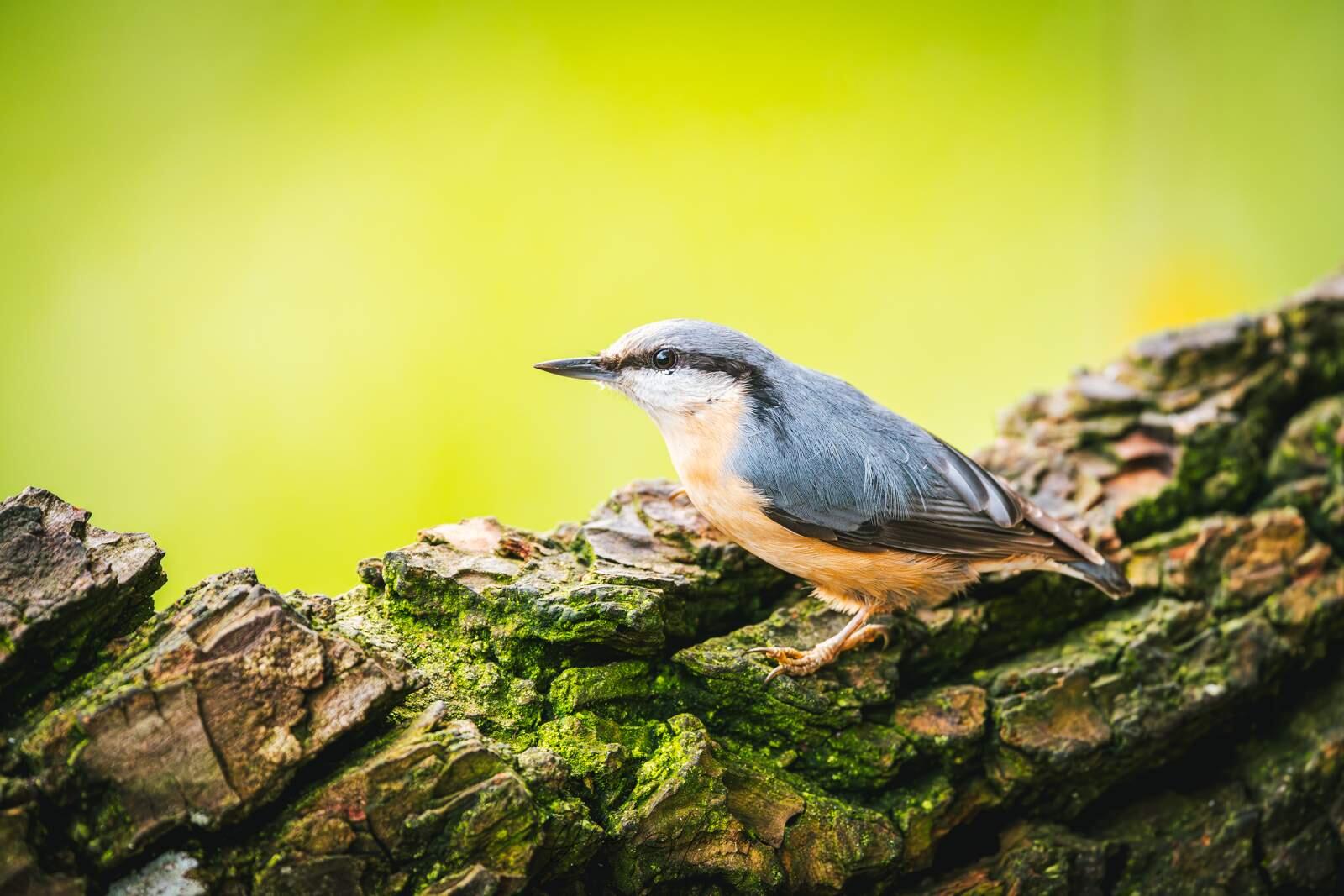 Bild ohne Beschreibung Bild ohne Beschreibung