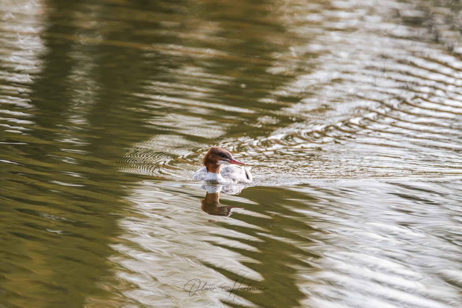 Bild ohne Beschreibung Bild ohne Beschreibung