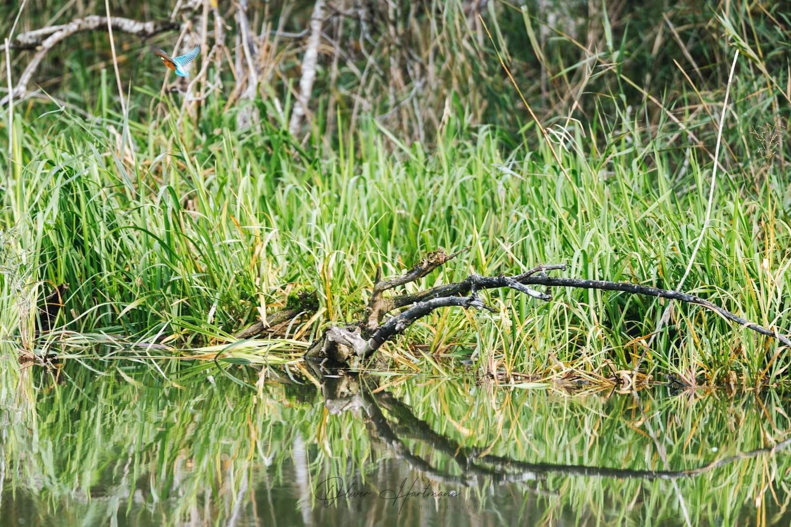 Bild ohne Beschreibung Bild ohne Beschreibung