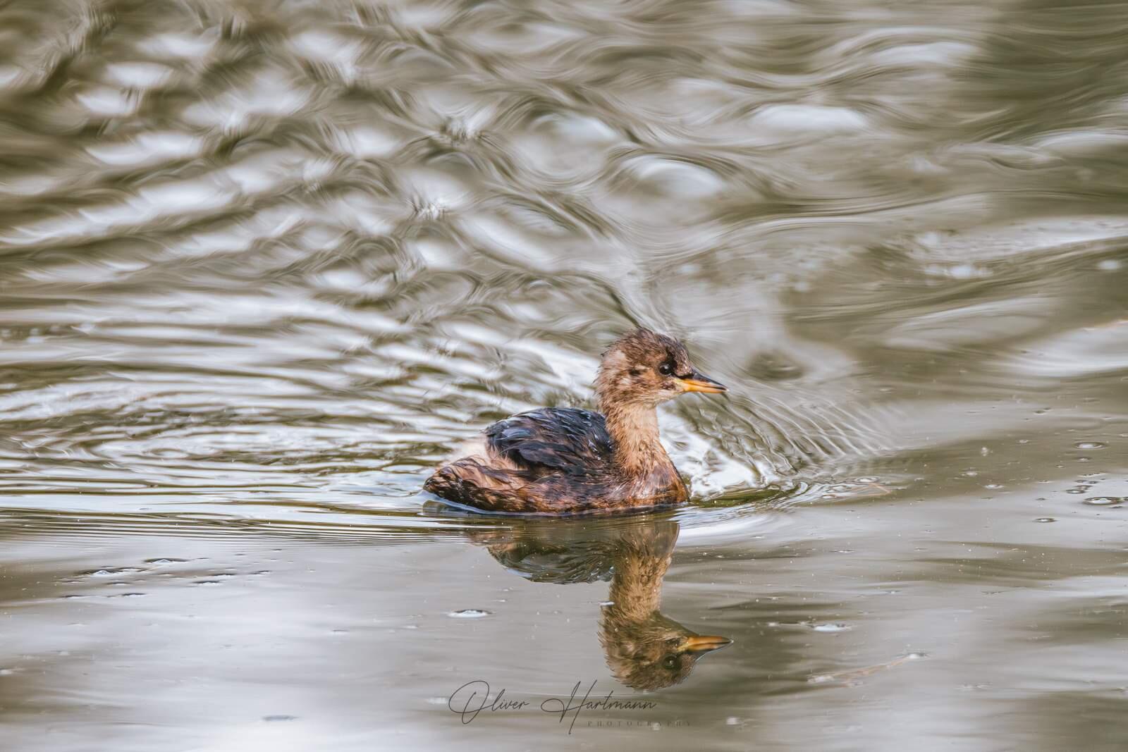 Bild ohne Beschreibung Bild ohne Beschreibung