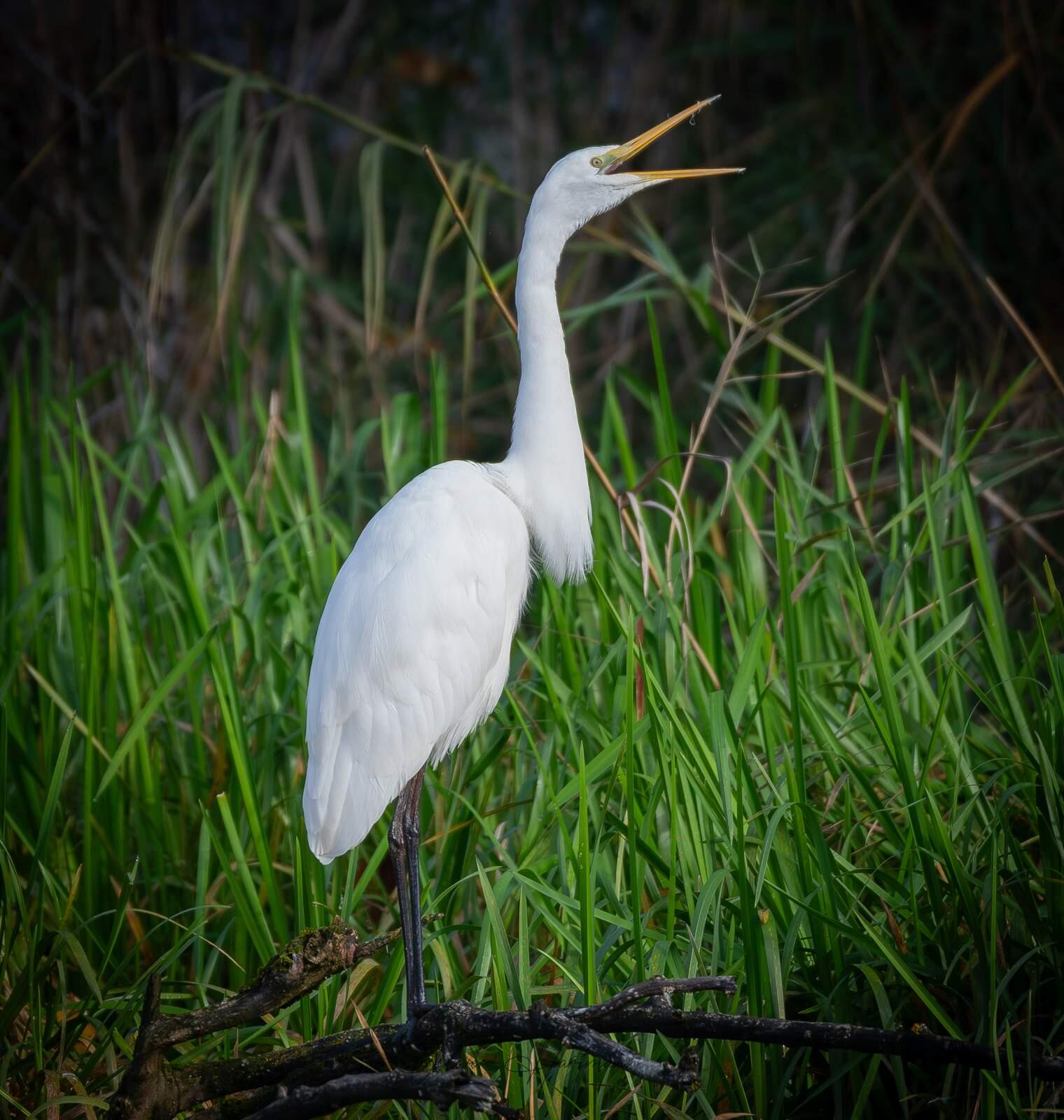 Bild ohne Beschreibung Bild ohne Beschreibung