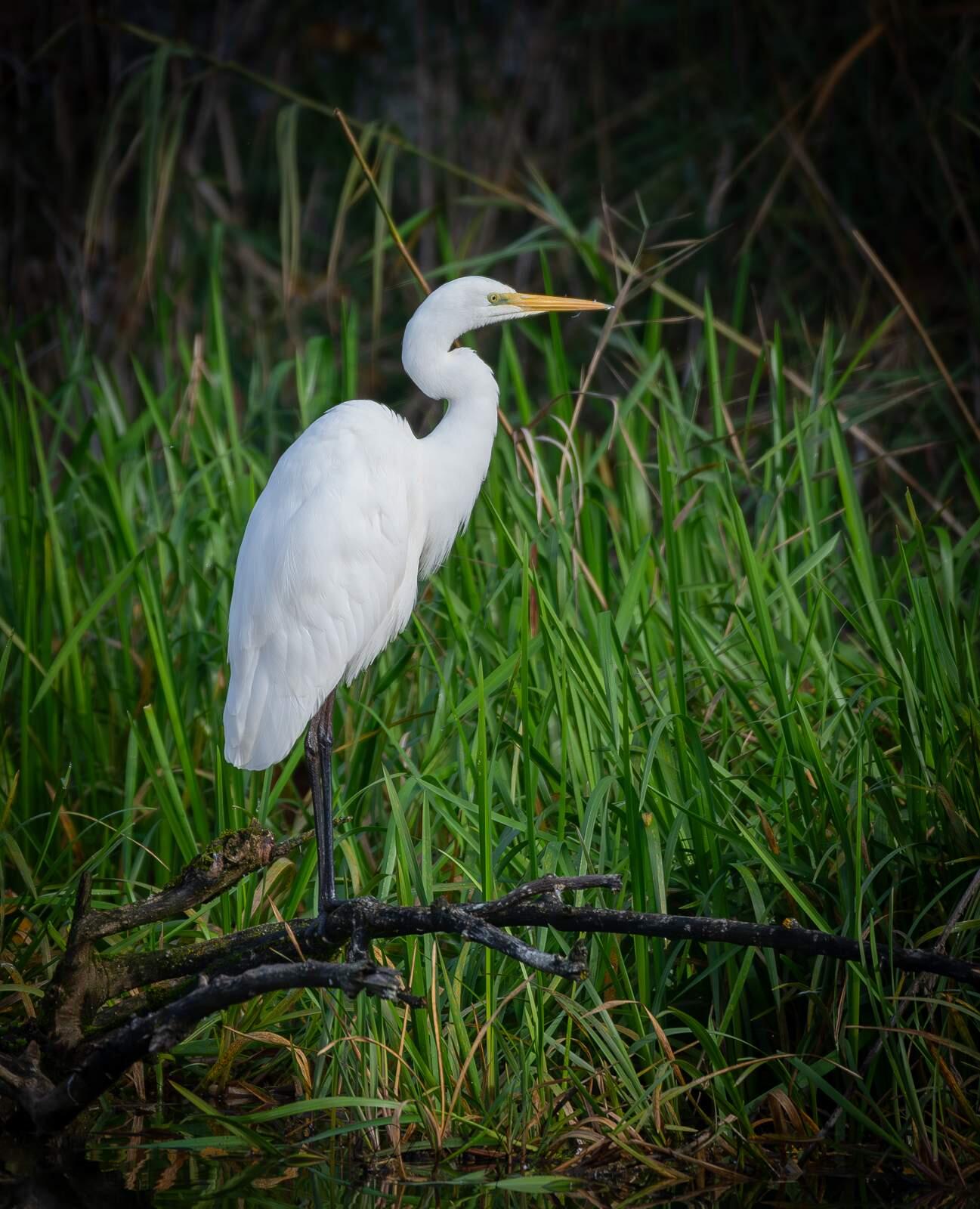 Bild ohne Beschreibung Bild ohne Beschreibung