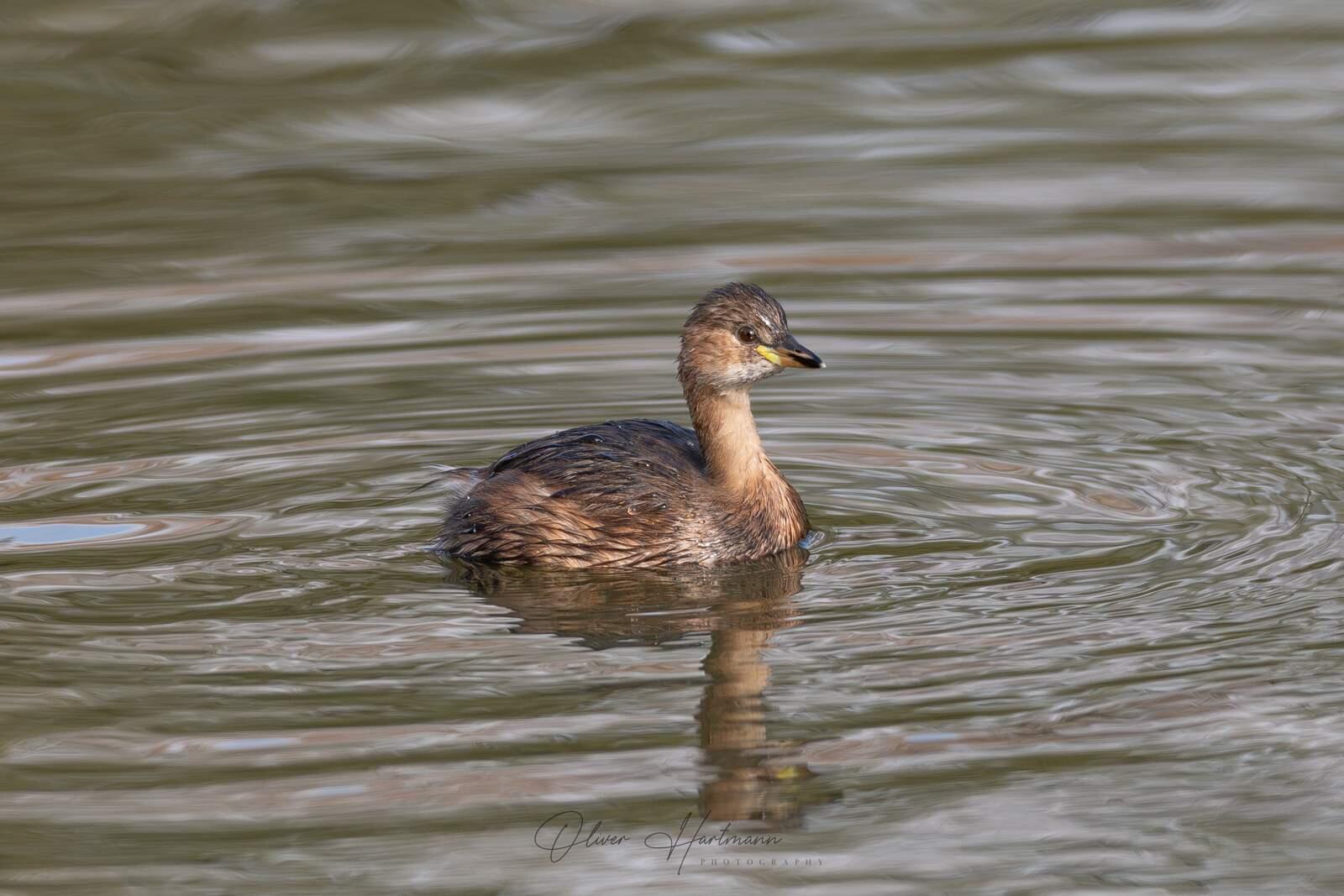 Bild ohne Beschreibung Bild ohne Beschreibung