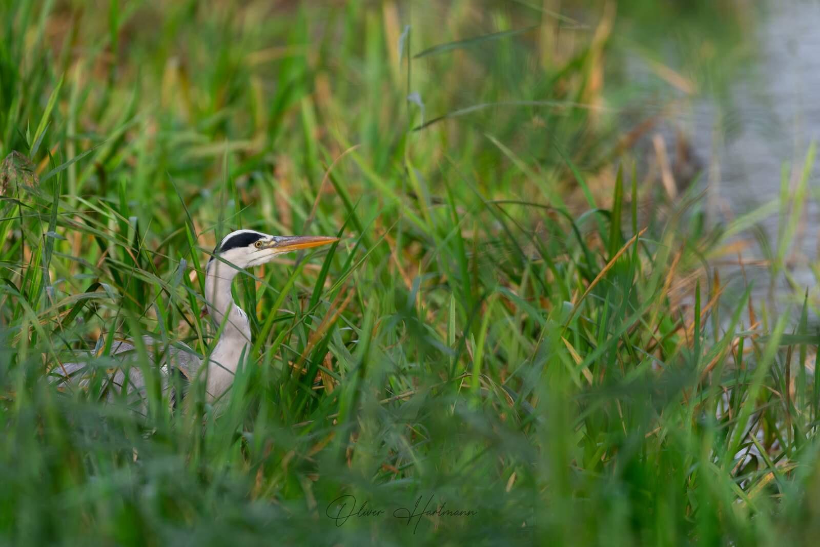 Bild ohne Beschreibung Bild ohne Beschreibung