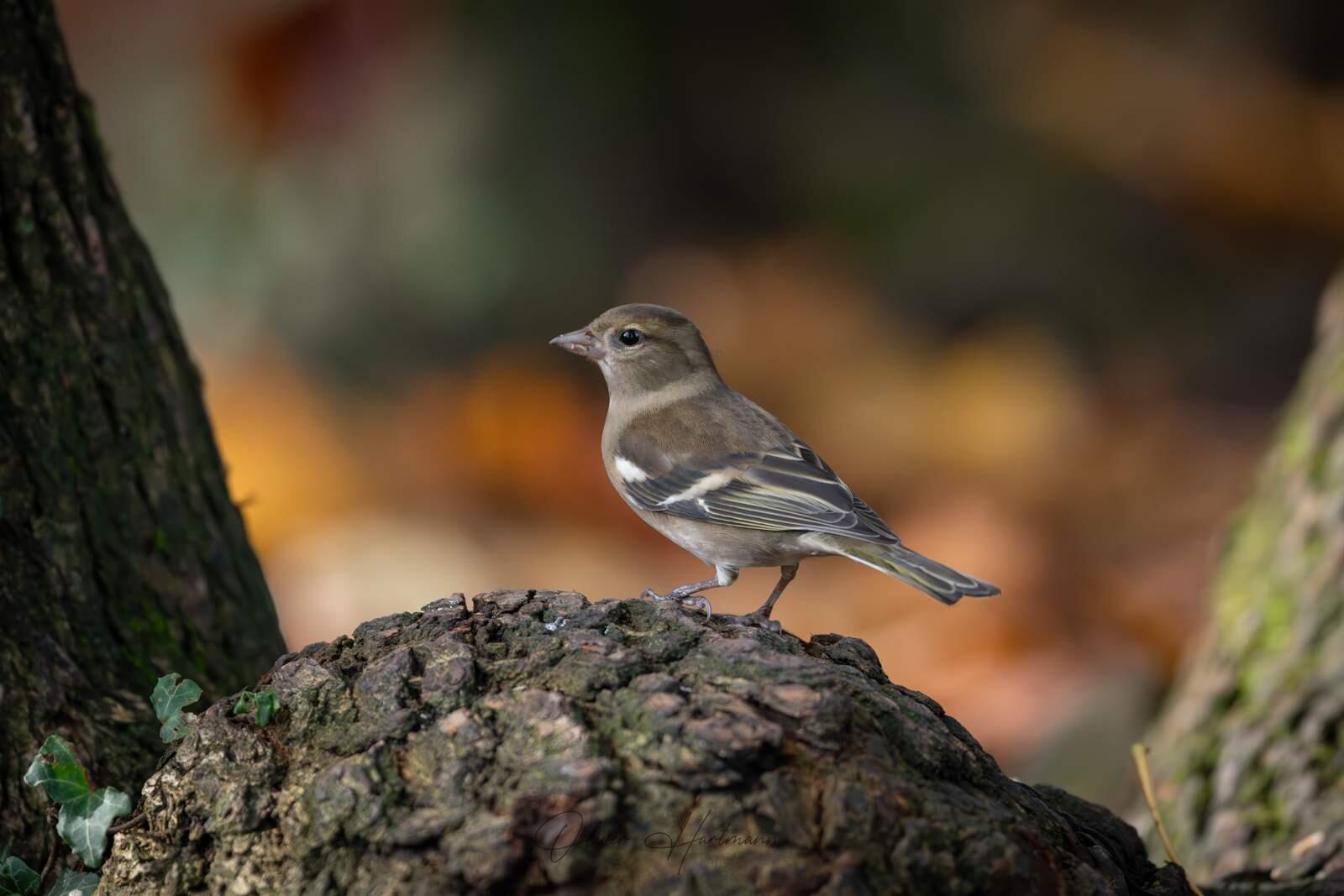 Bild ohne Beschreibung Bild ohne Beschreibung