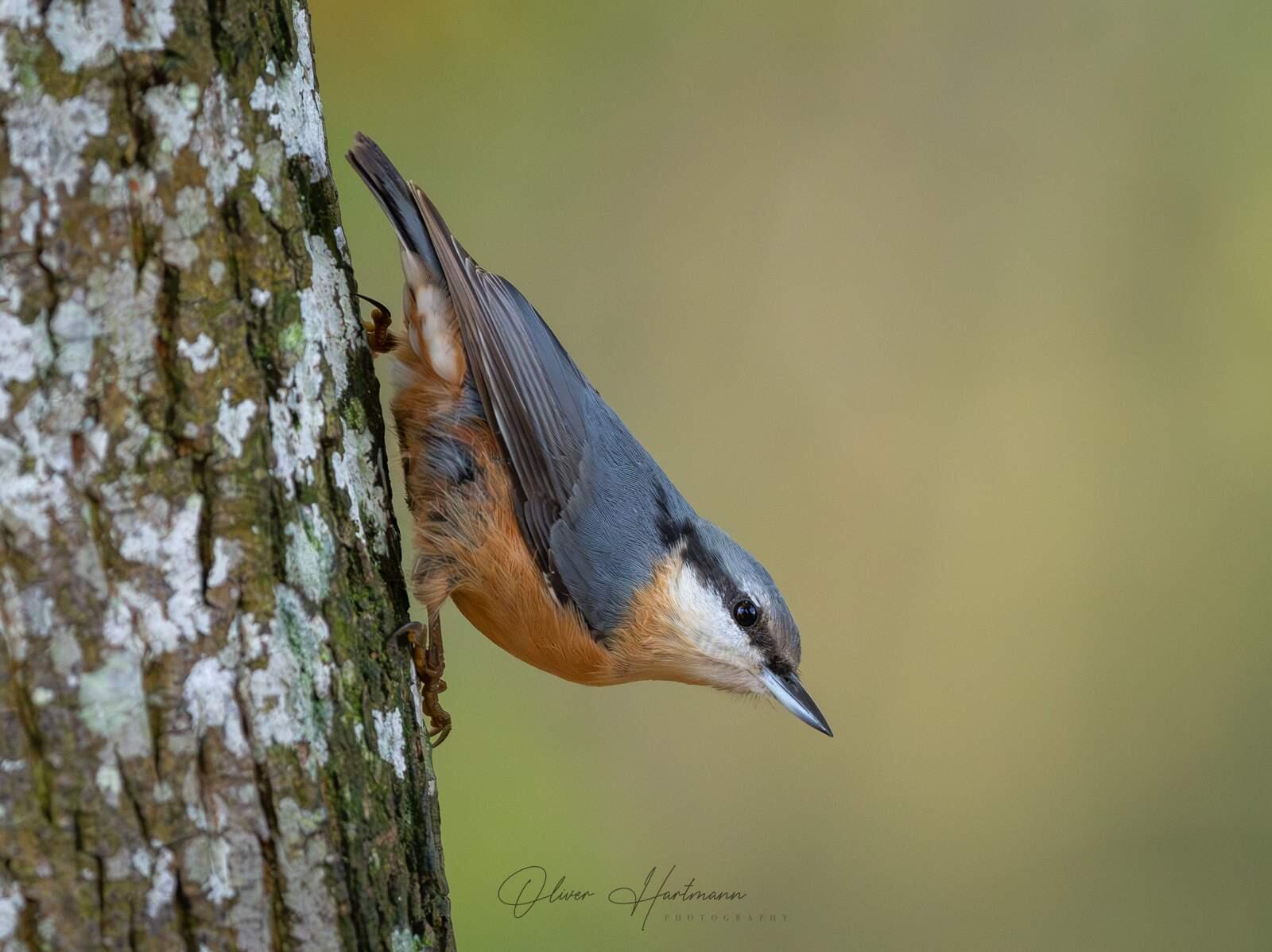 Bild ohne Beschreibung Bild ohne Beschreibung