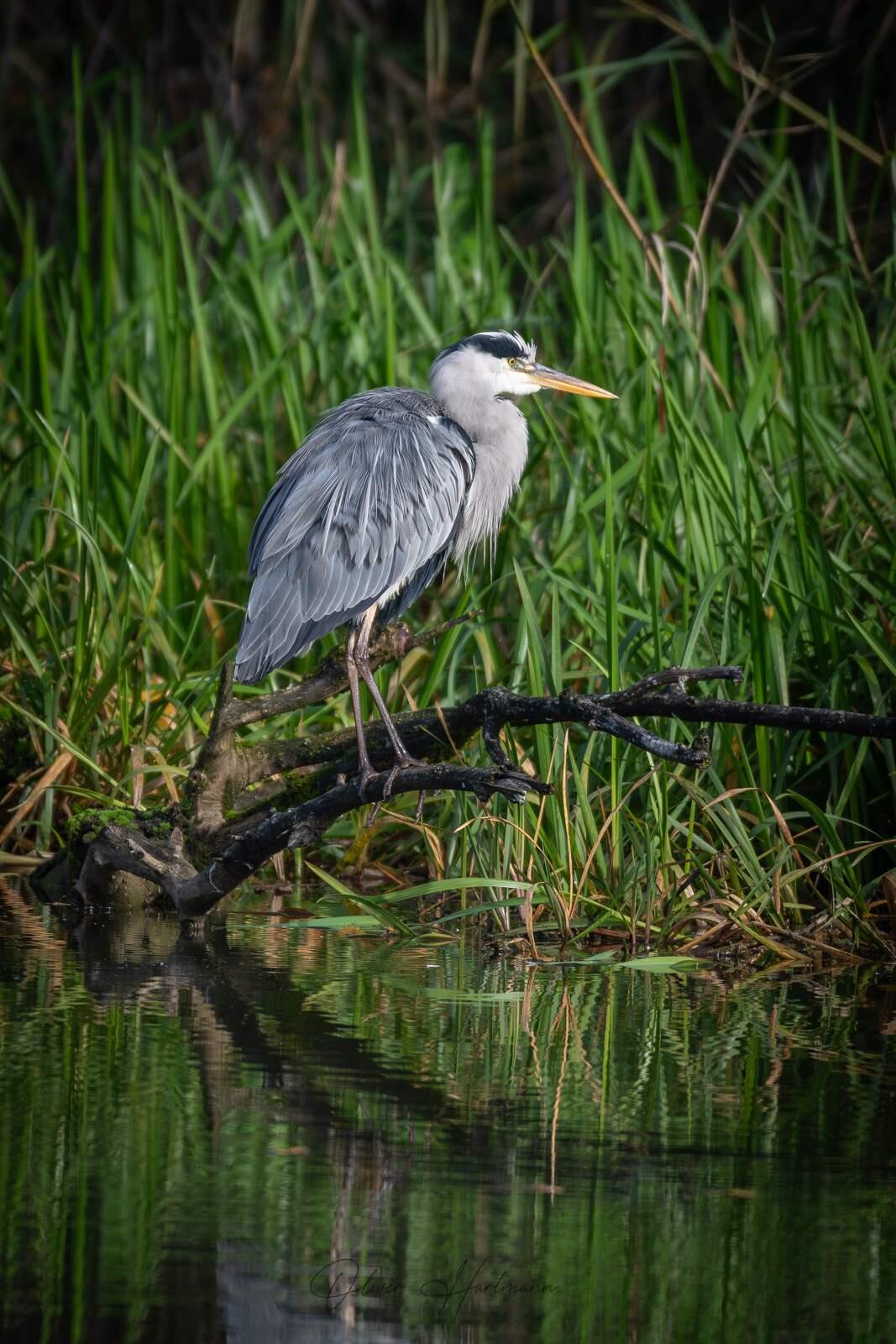 Bild ohne Beschreibung Bild ohne Beschreibung