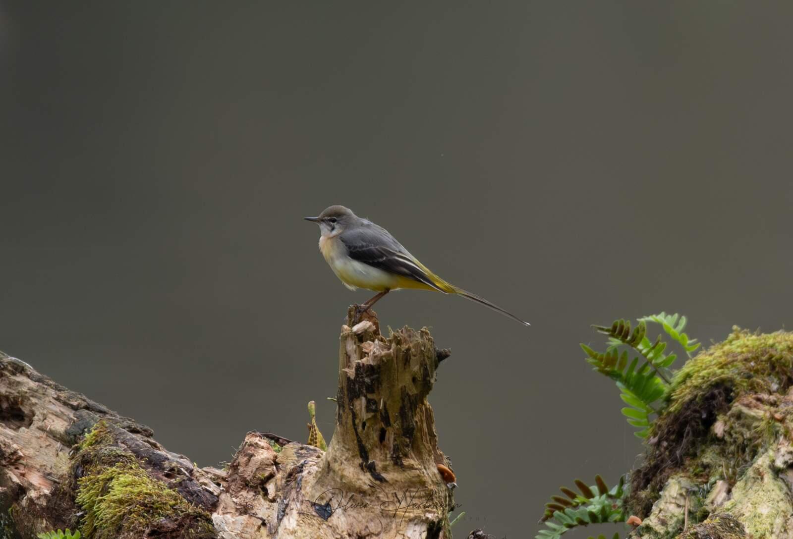 Bild ohne Beschreibung Bild ohne Beschreibung