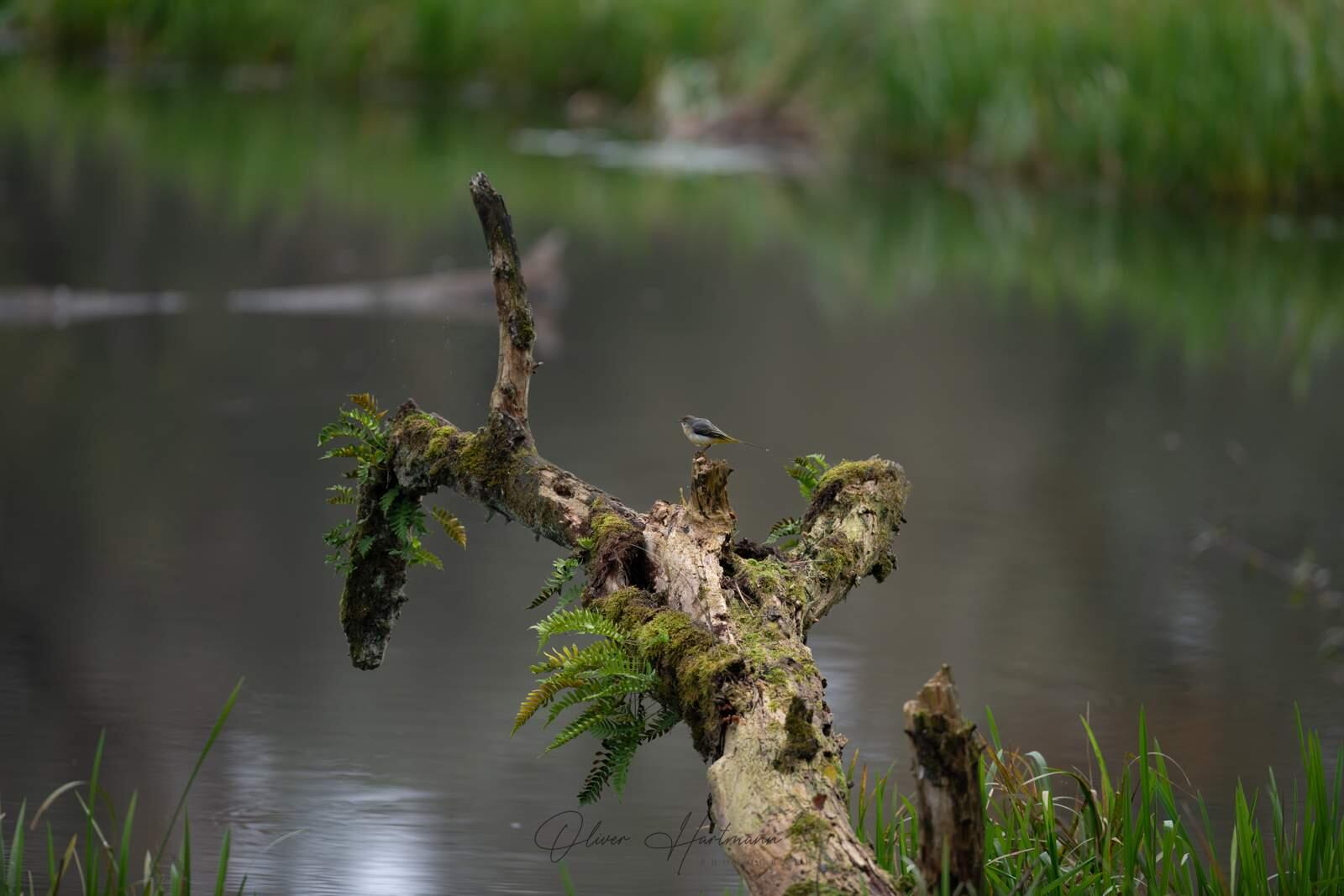Bild ohne Beschreibung Bild ohne Beschreibung