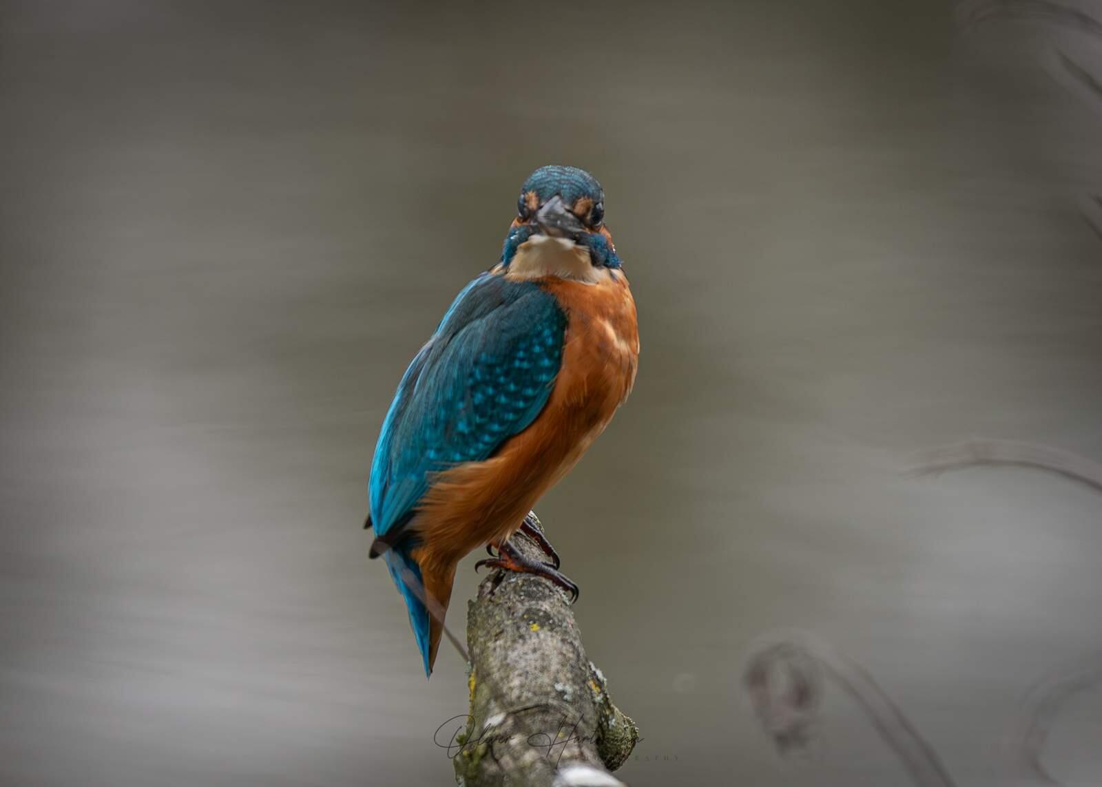 Bild ohne Beschreibung Bild ohne Beschreibung