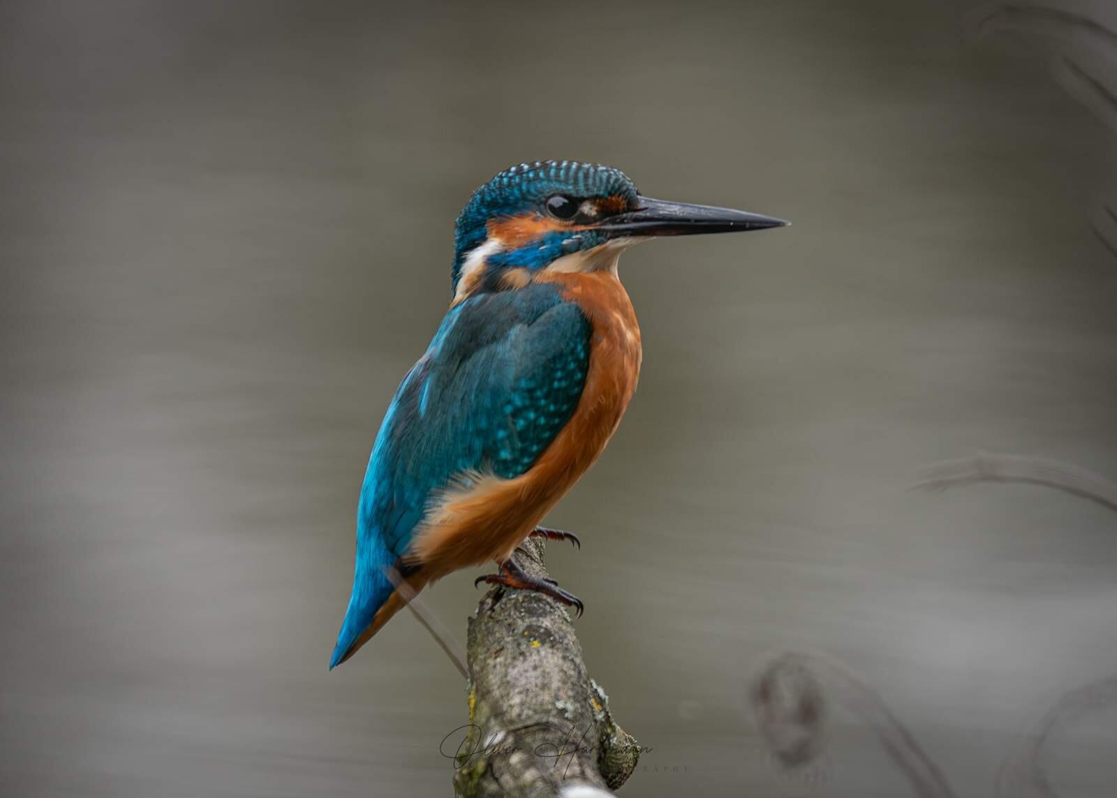 Bild ohne Beschreibung Bild ohne Beschreibung