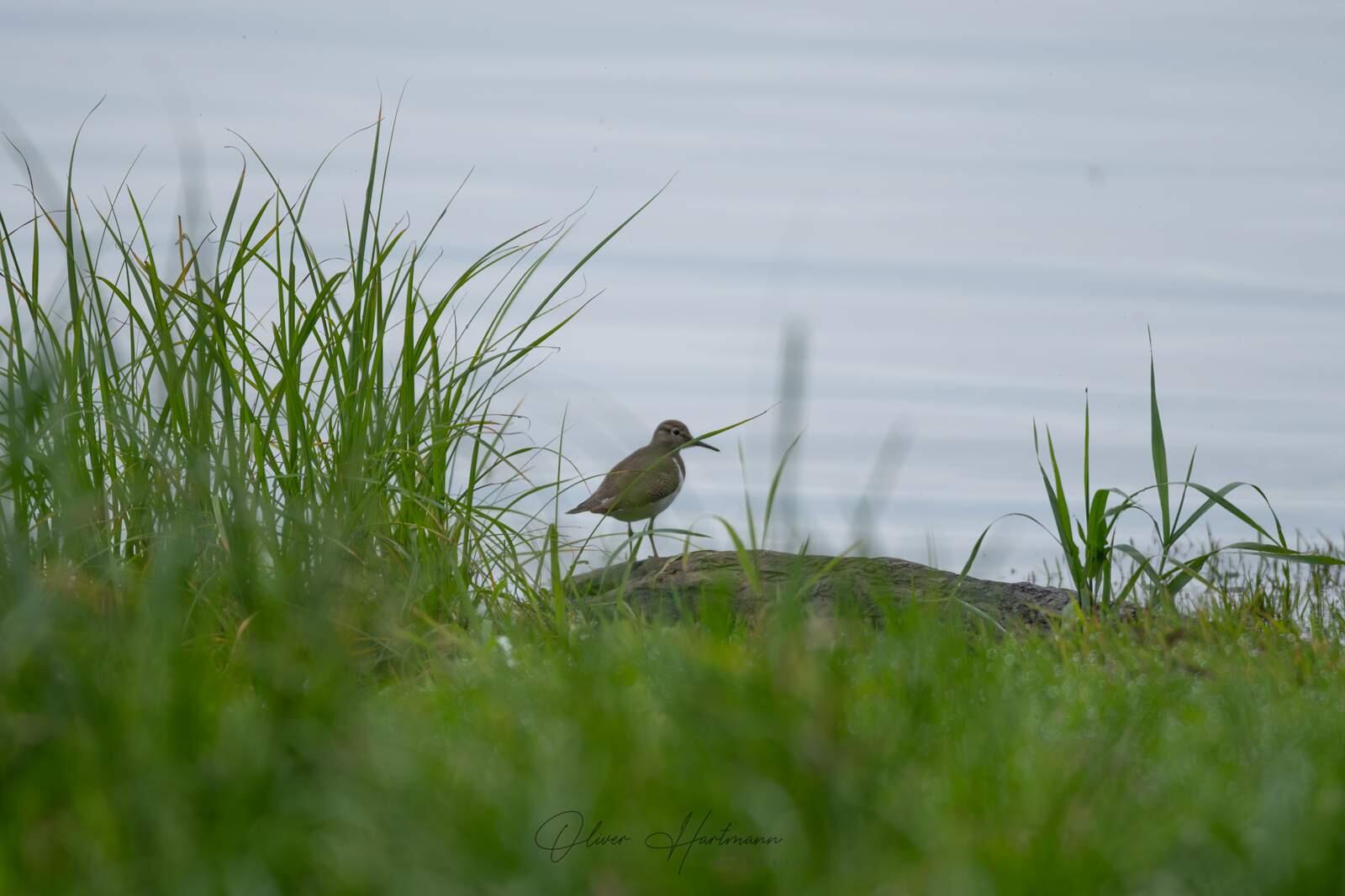 Bild ohne Beschreibung Bild ohne Beschreibung