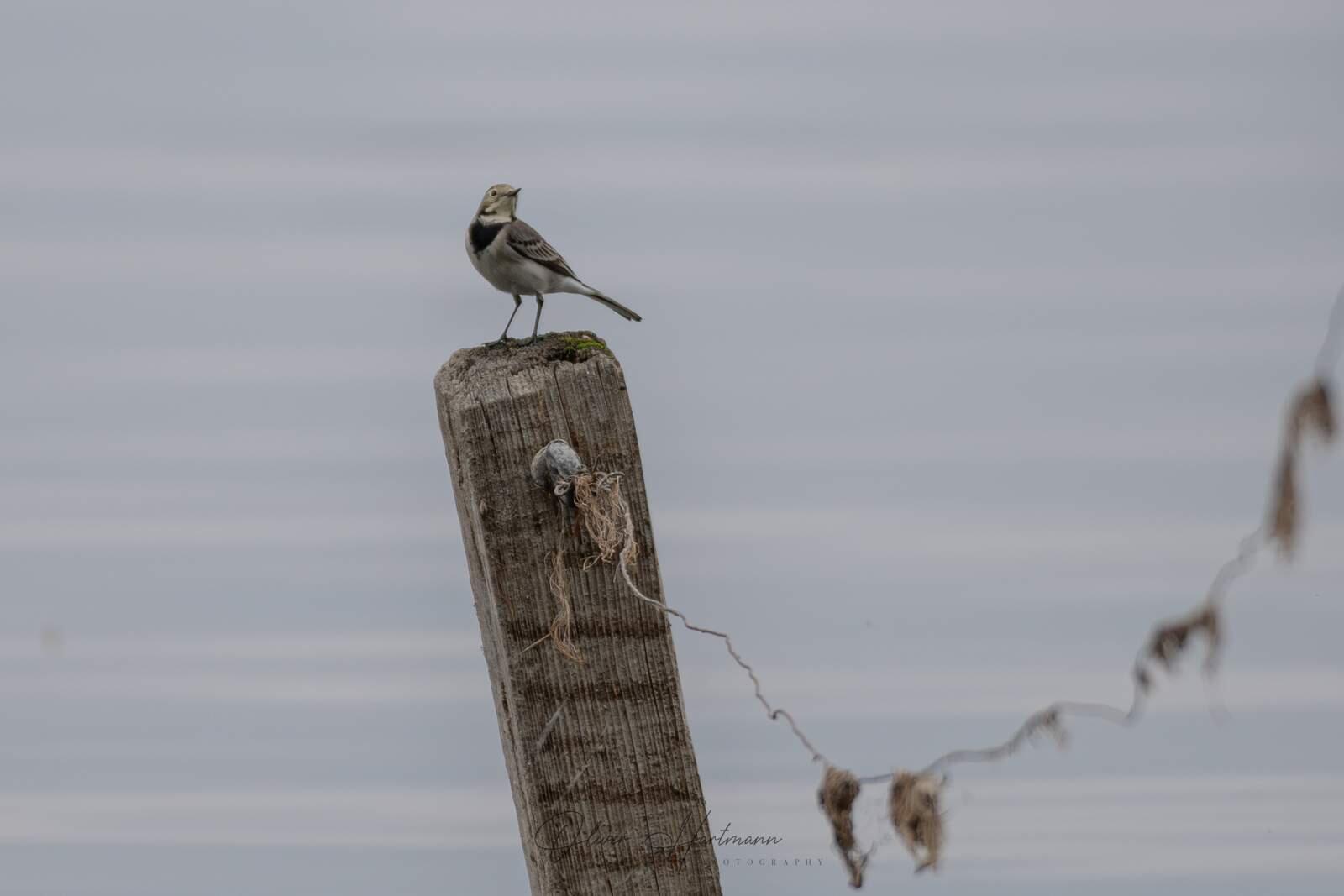 Bild ohne Beschreibung Bild ohne Beschreibung