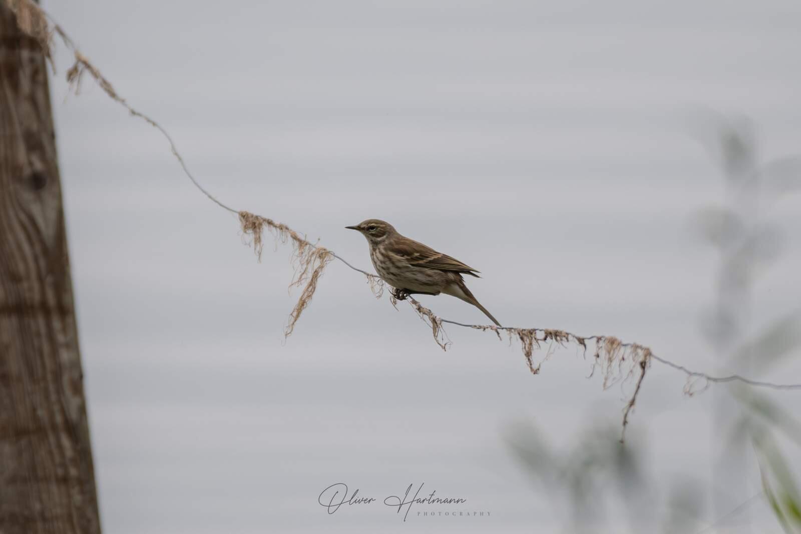 Bild ohne Beschreibung Bild ohne Beschreibung