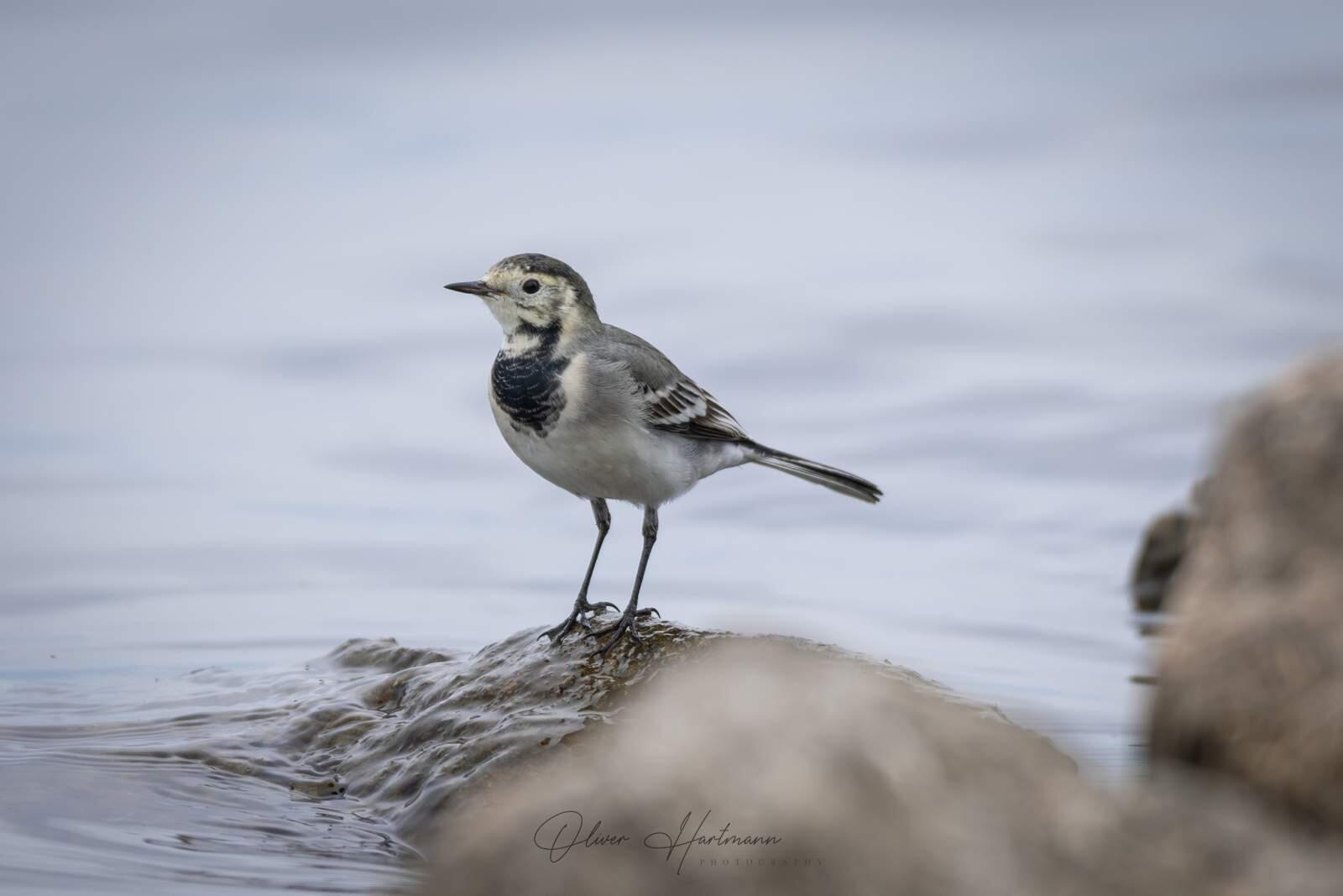 Bild ohne Beschreibung Bild ohne Beschreibung