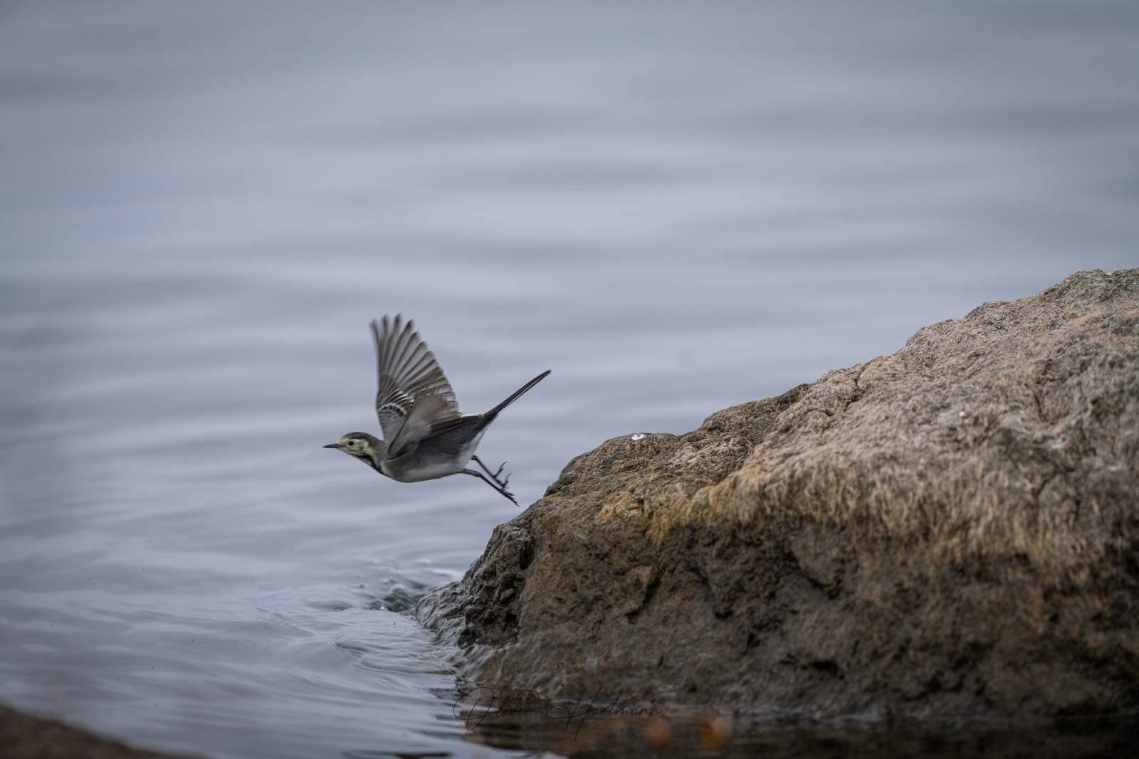 Bild ohne Beschreibung Bild ohne Beschreibung