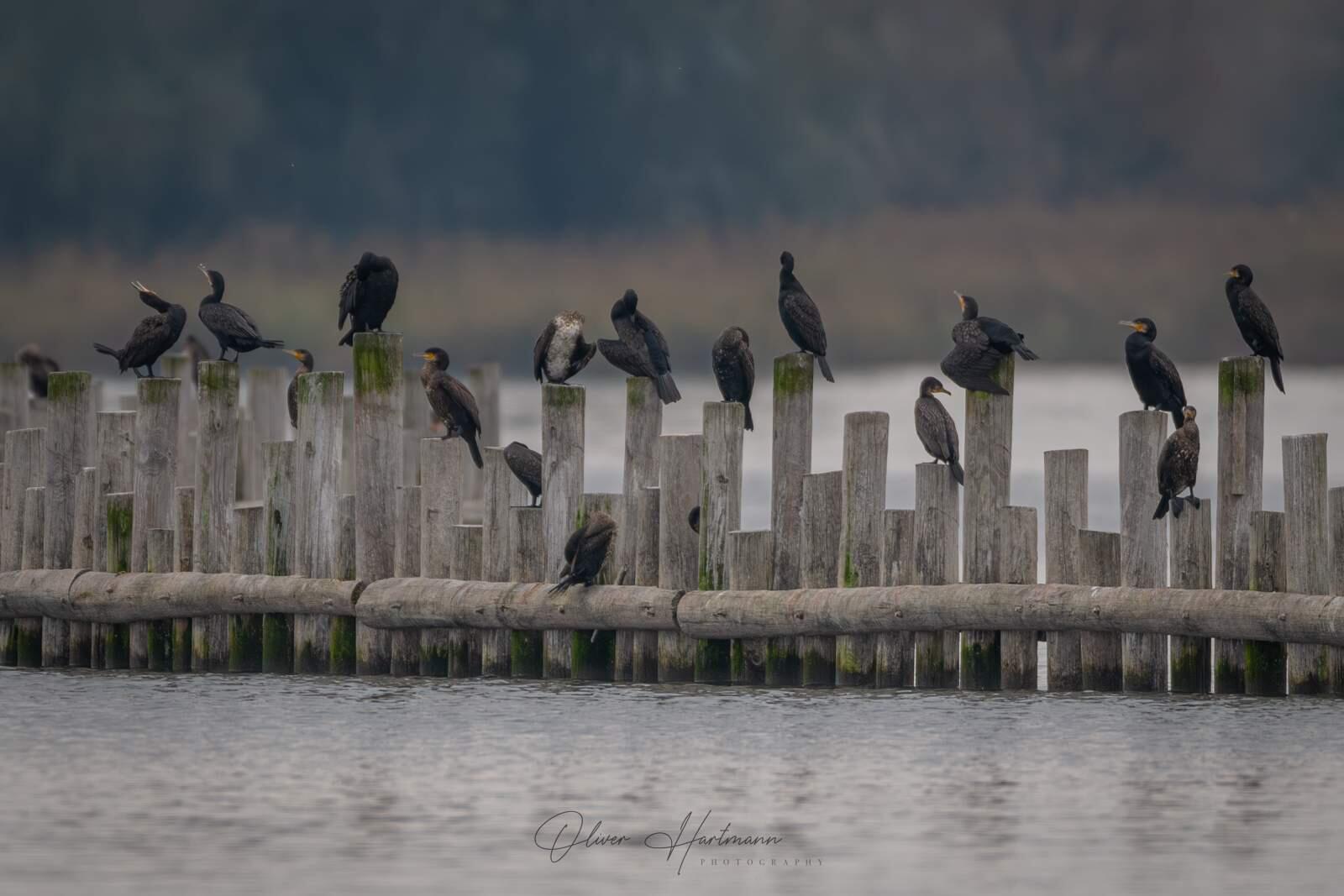 Bild ohne Beschreibung Bild ohne Beschreibung