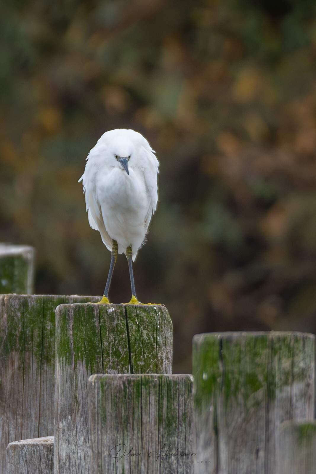 Bild ohne Beschreibung Bild ohne Beschreibung
