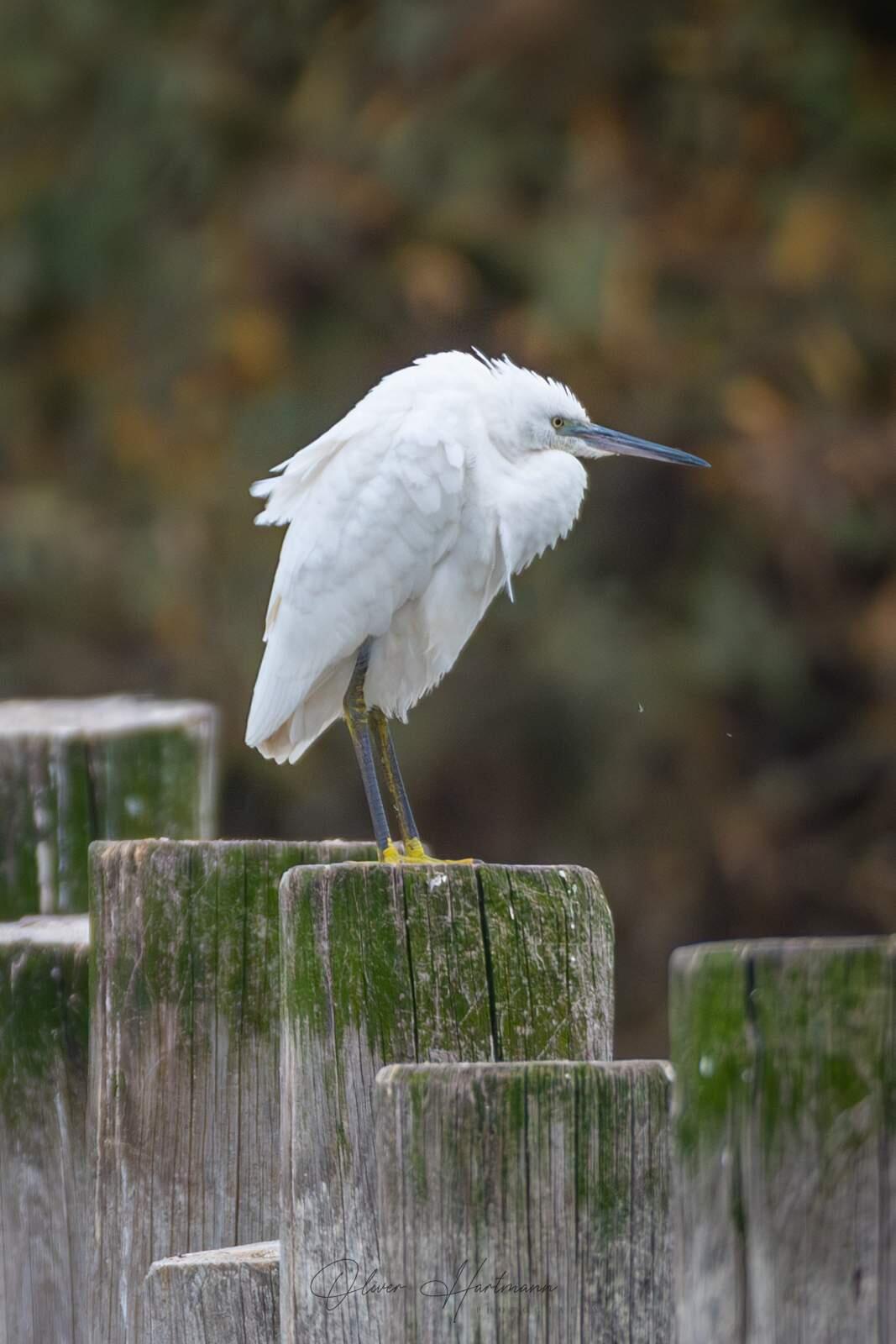 Bild ohne Beschreibung Bild ohne Beschreibung