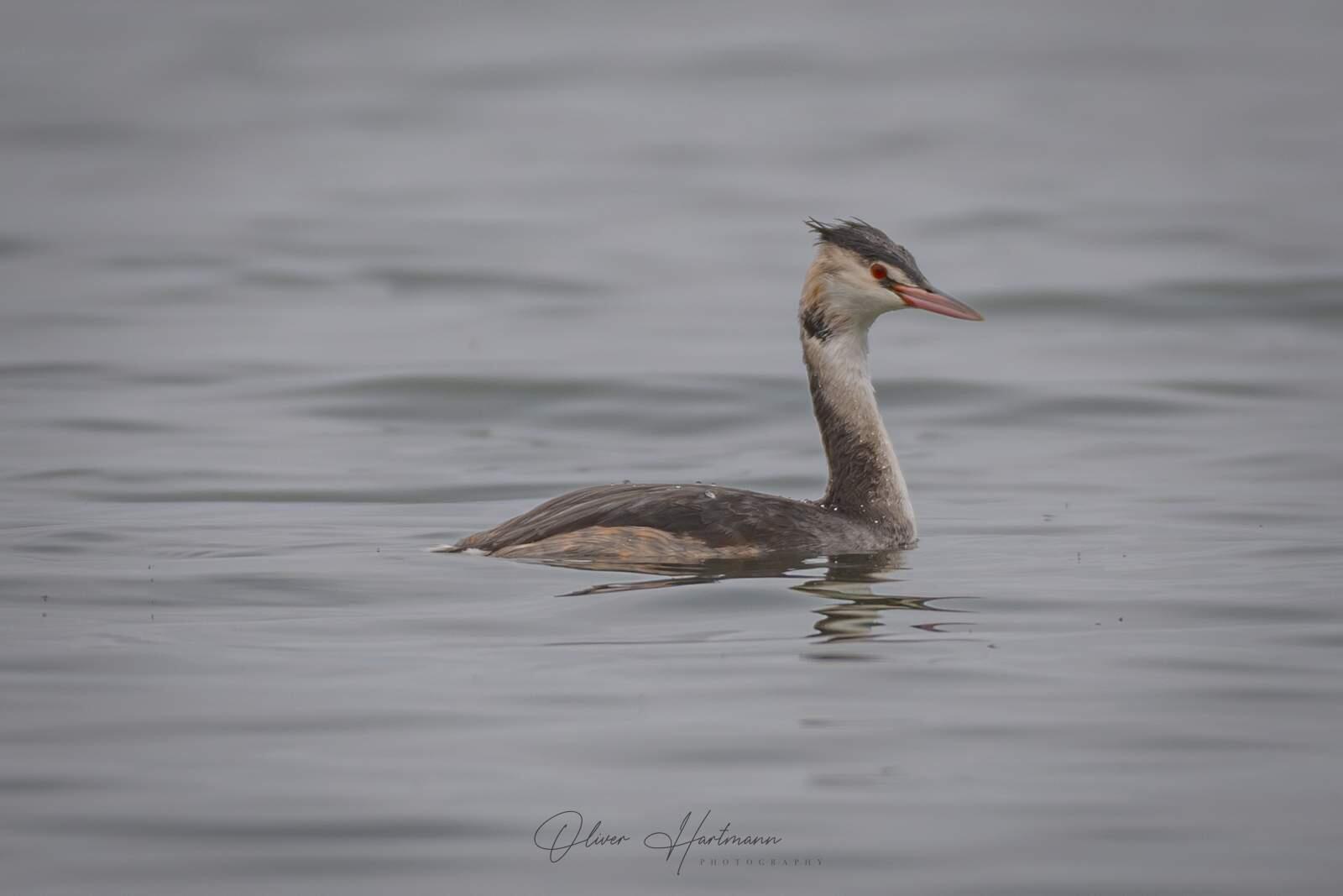 Bild ohne Beschreibung Bild ohne Beschreibung