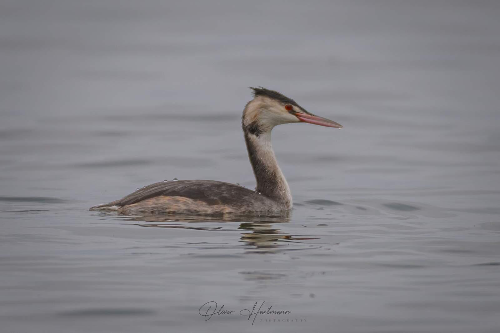 Bild ohne Beschreibung Bild ohne Beschreibung