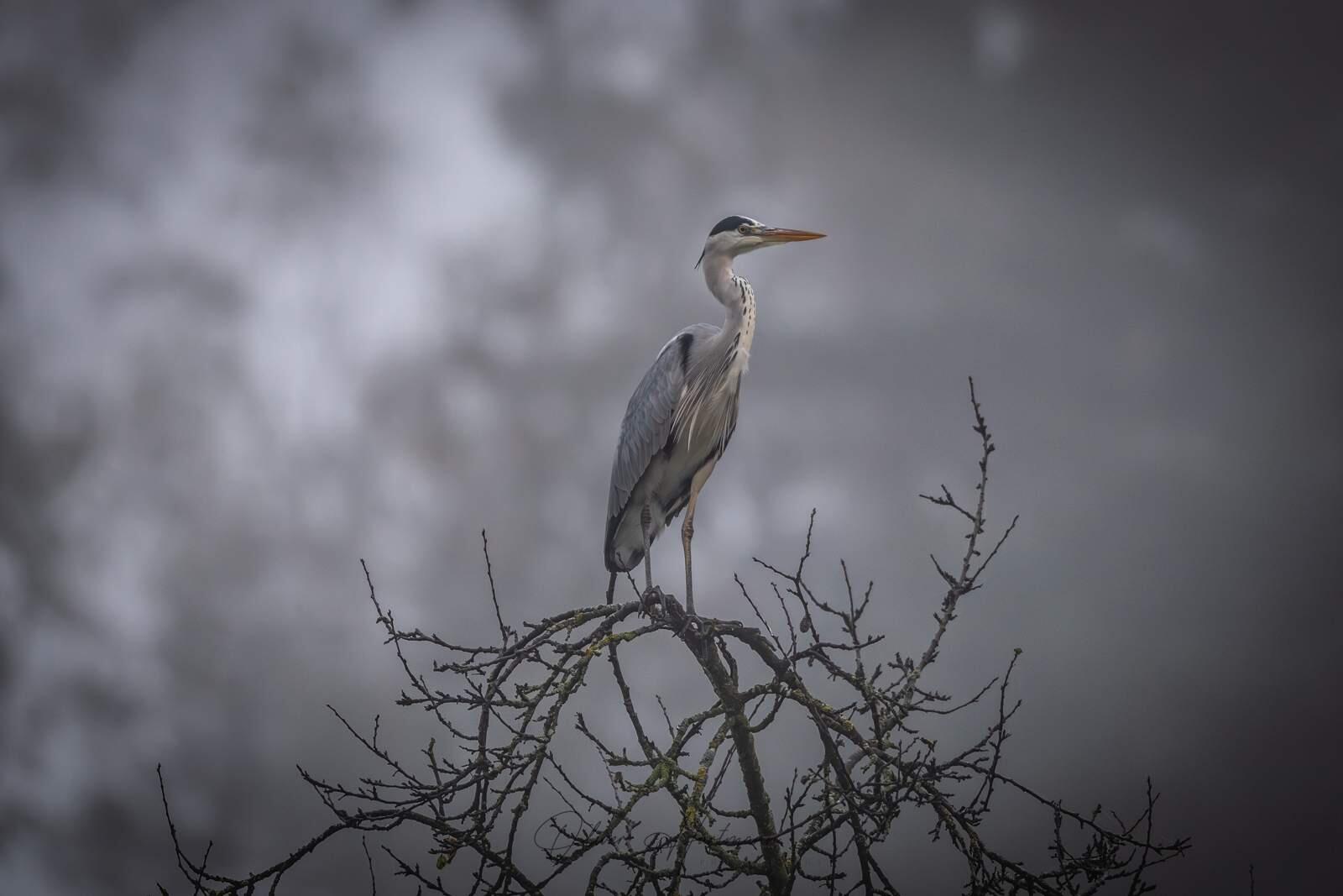 Bild ohne Beschreibung Bild ohne Beschreibung