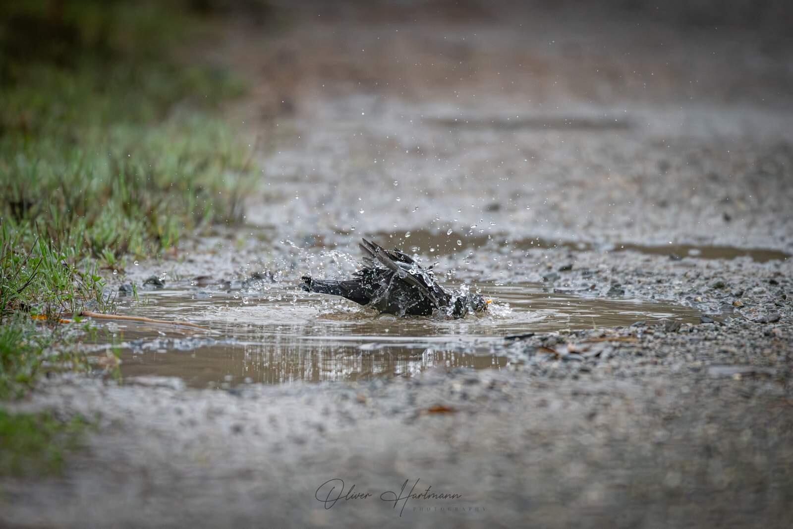 Bild ohne Beschreibung Bild ohne Beschreibung