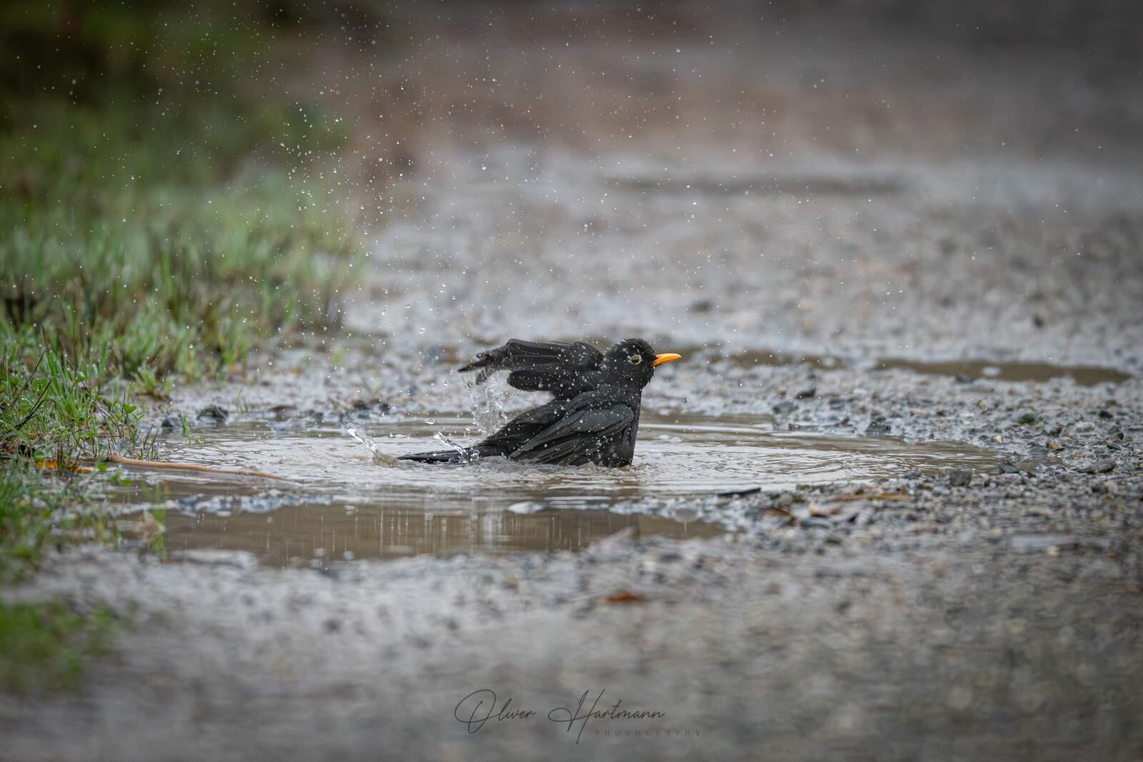 Bild ohne Beschreibung Bild ohne Beschreibung