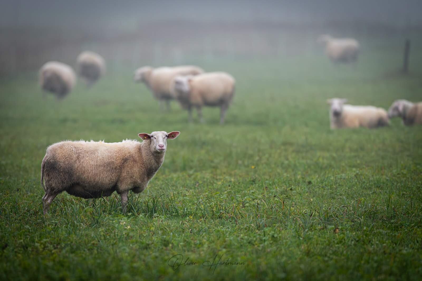 Bild ohne Beschreibung Bild ohne Beschreibung