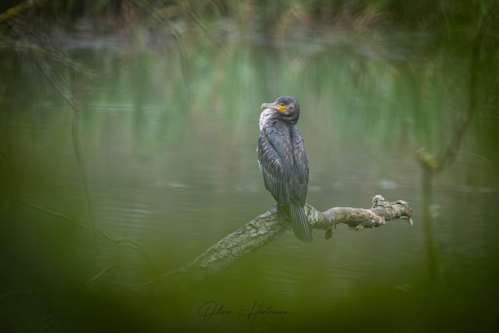 Bild ohne Beschreibung Bild ohne Beschreibung