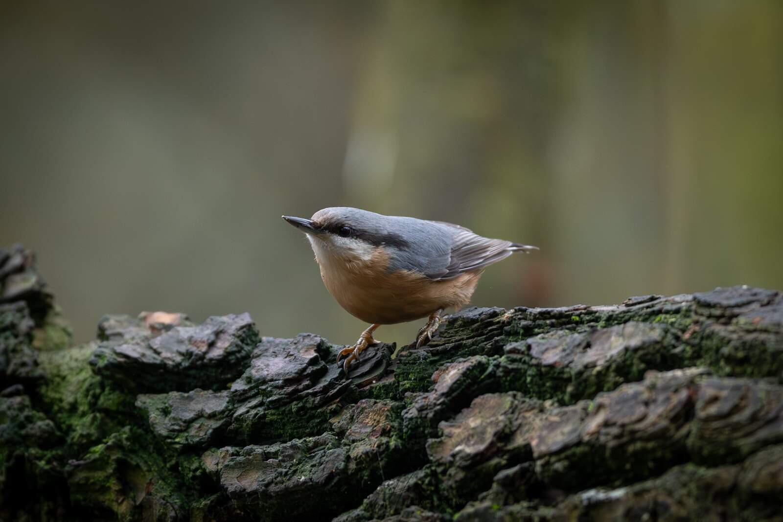 Bild ohne Beschreibung Bild ohne Beschreibung